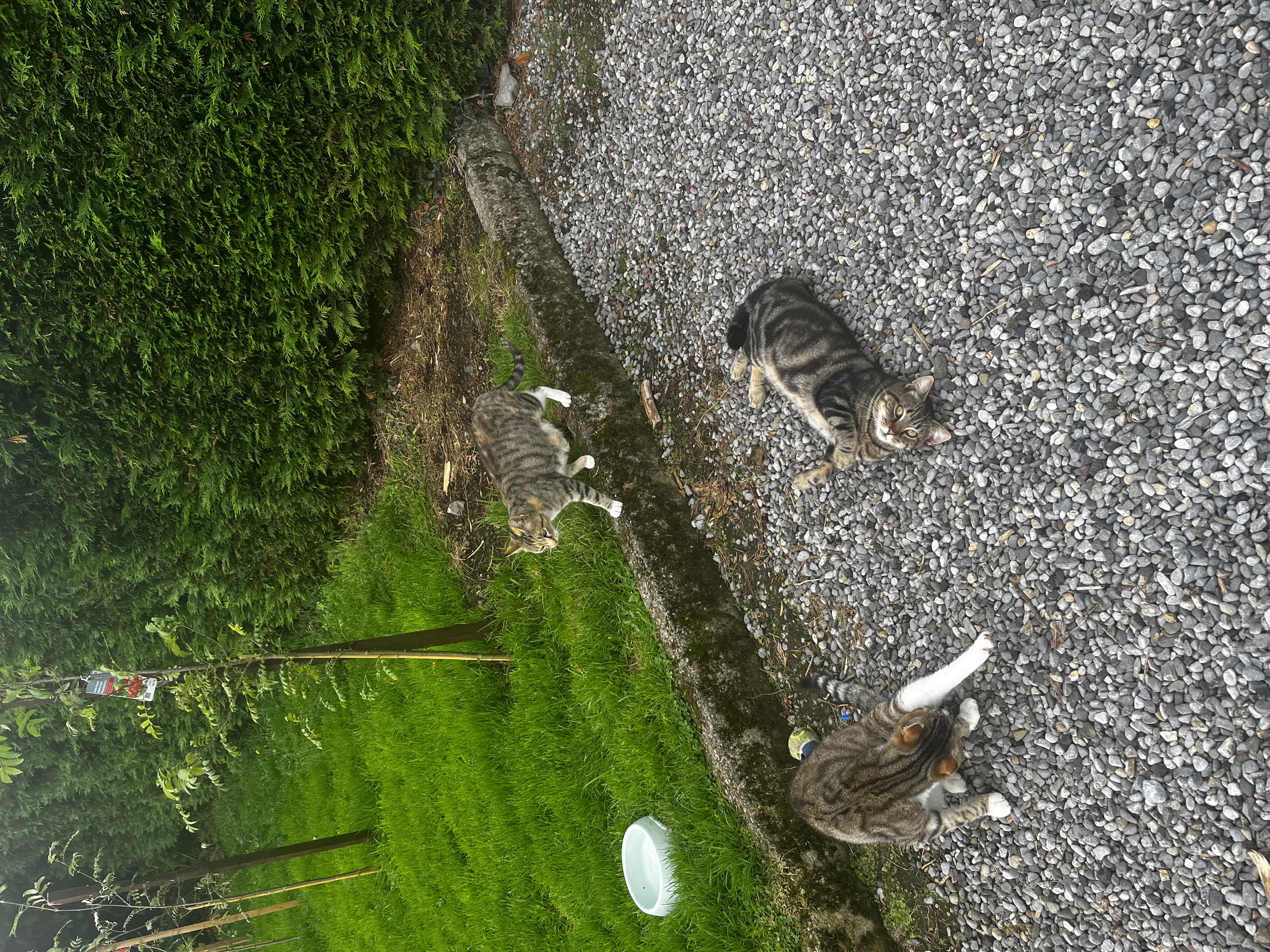 image-8