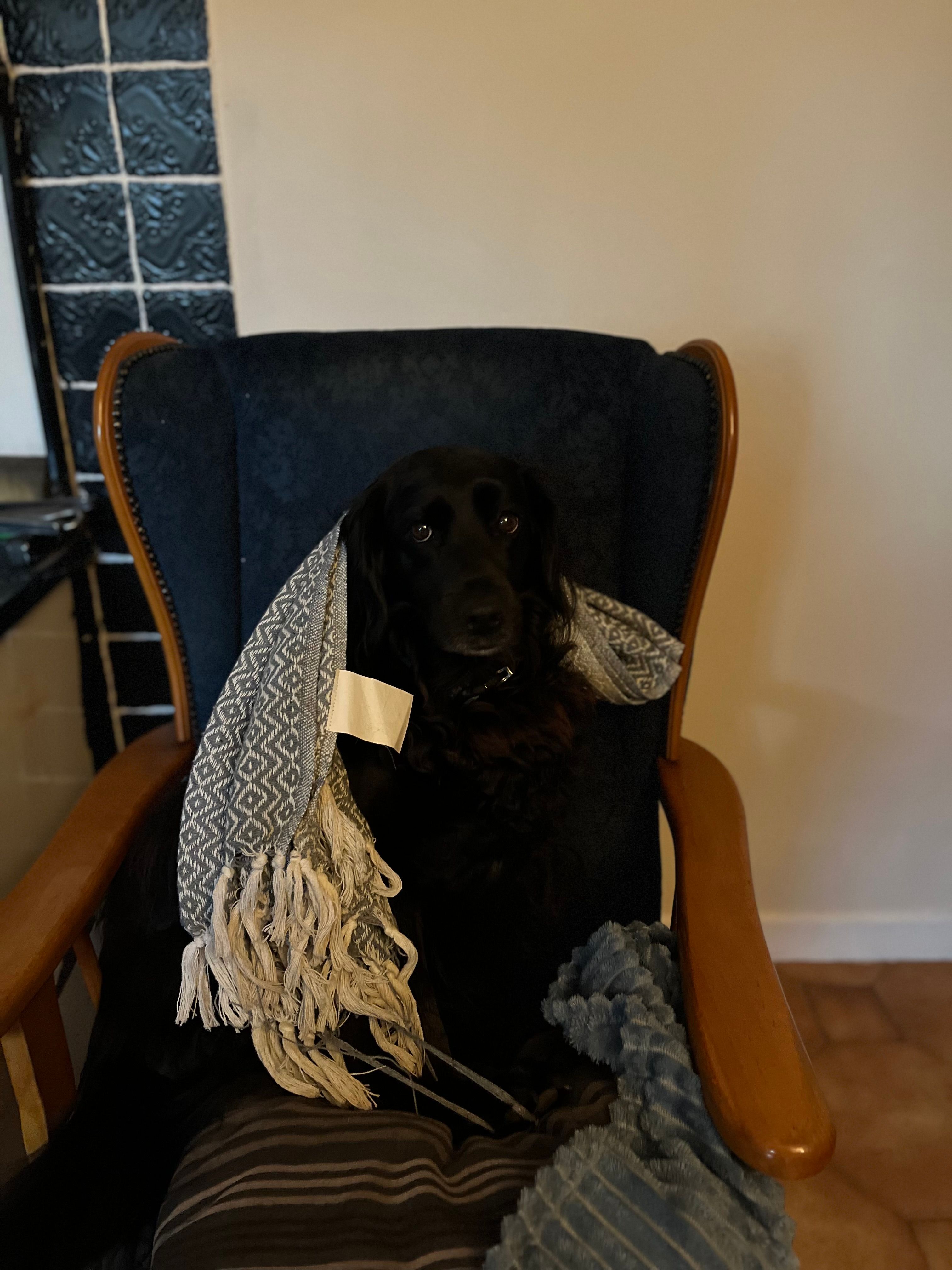 image-10