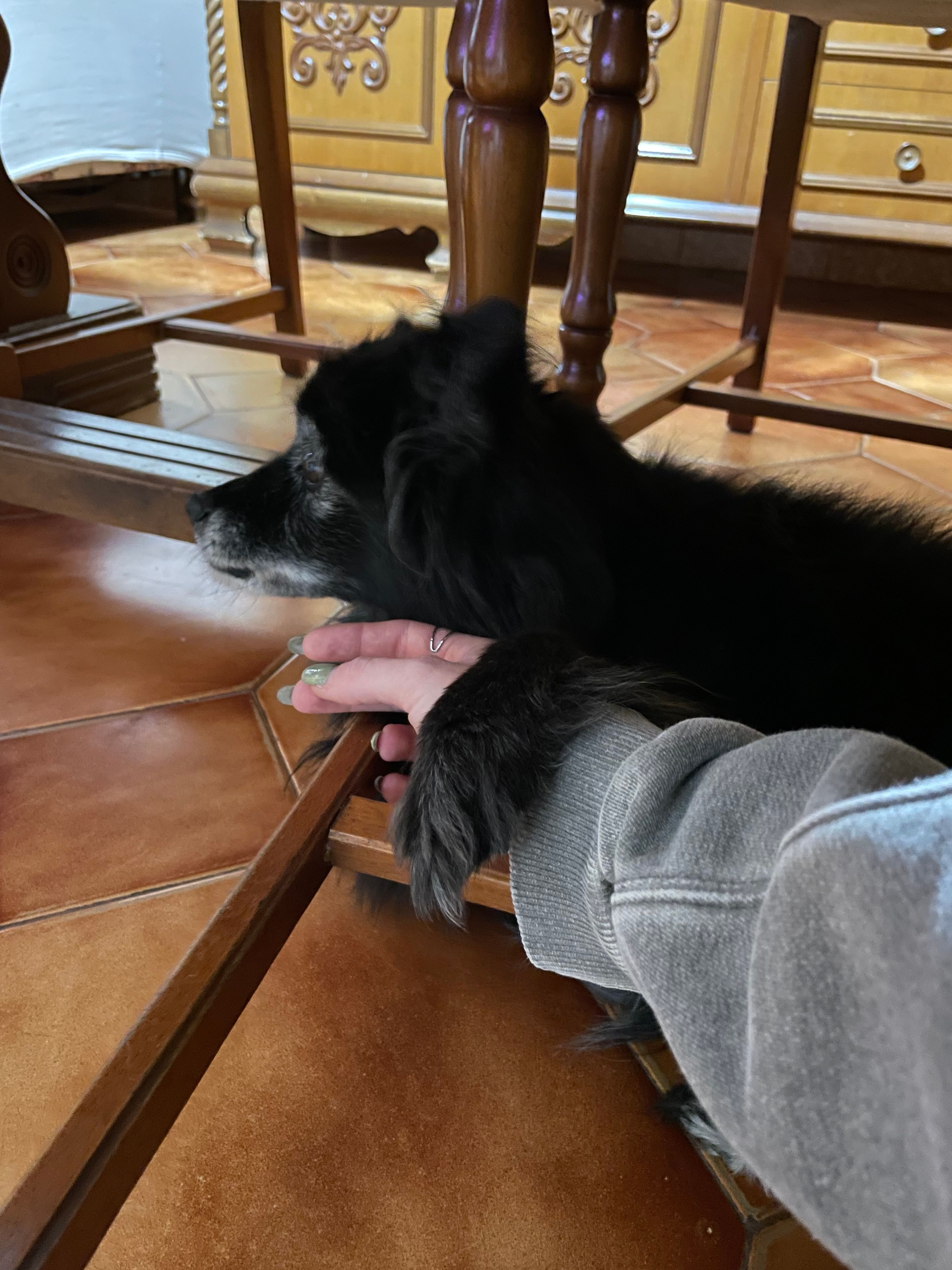 image-8