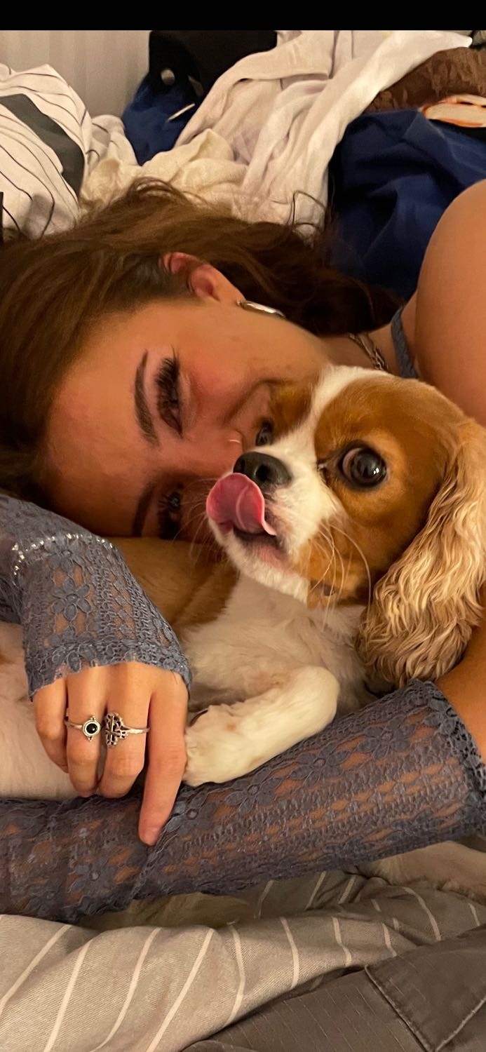 image-2