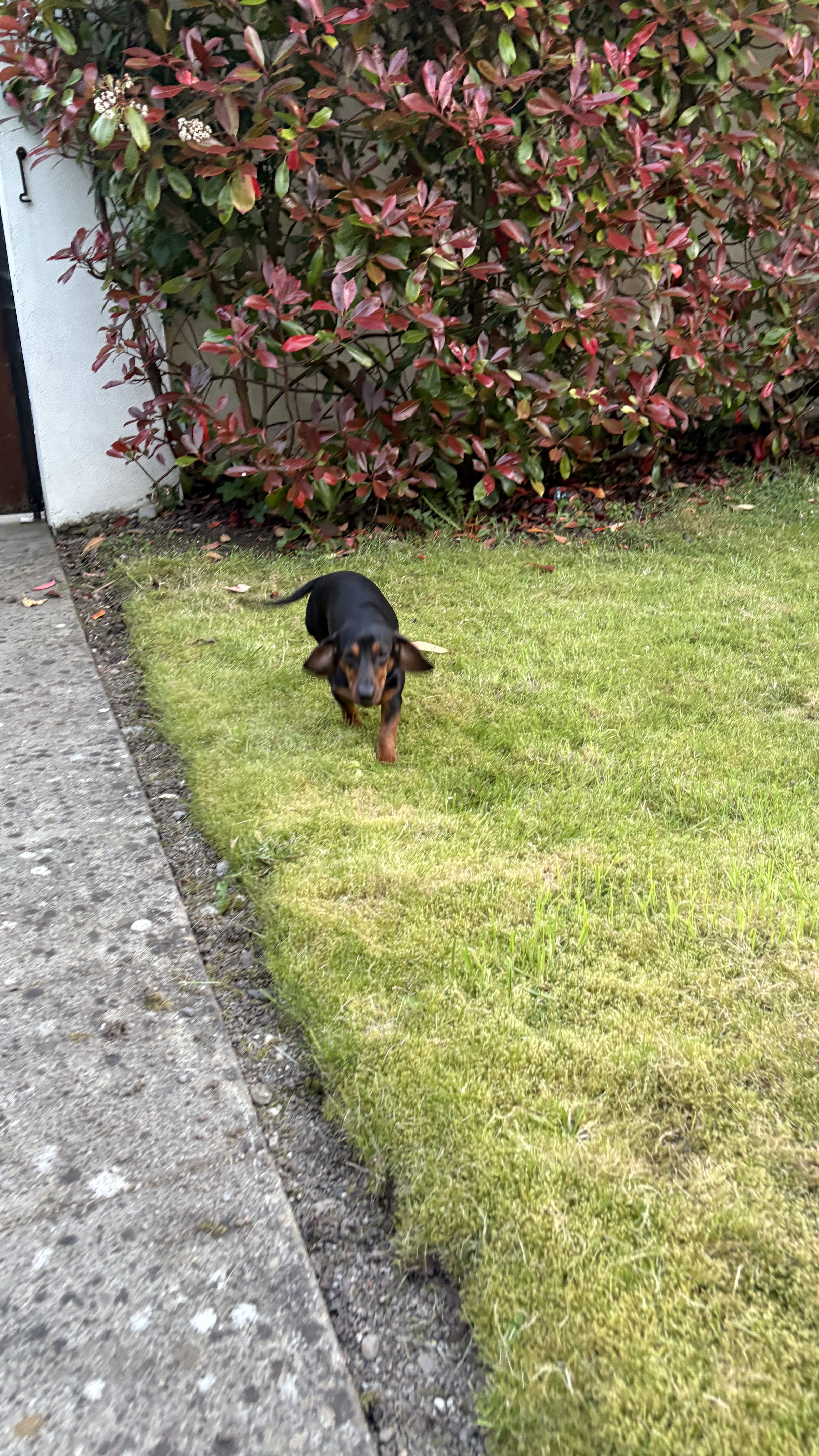 image-12
