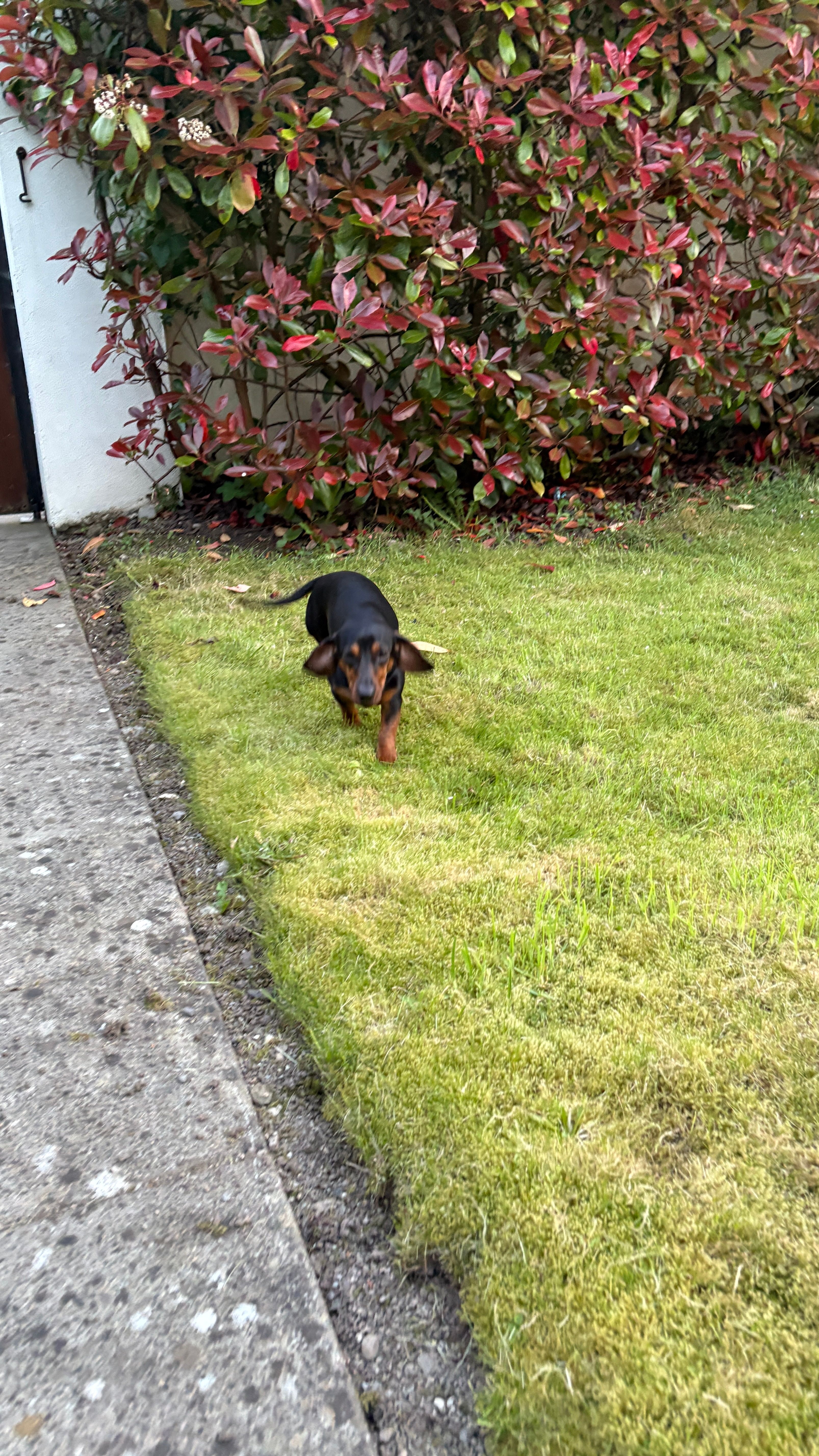 image-12