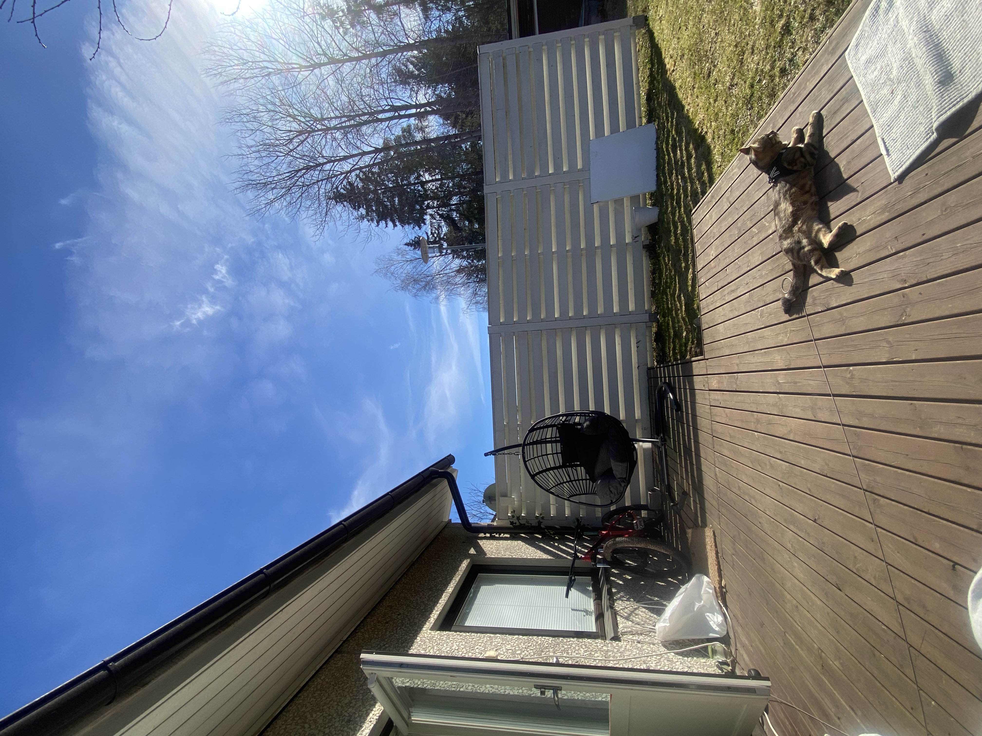 image-13