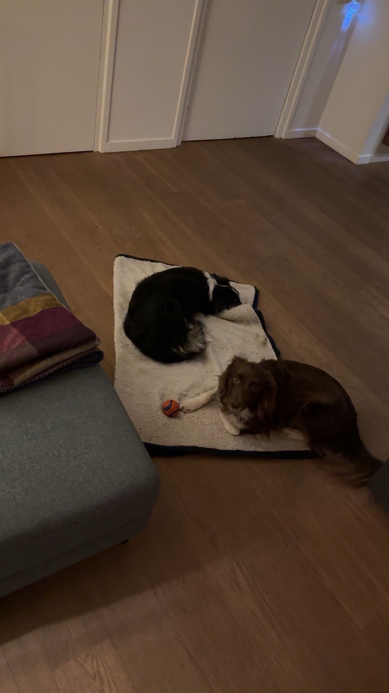 image-9