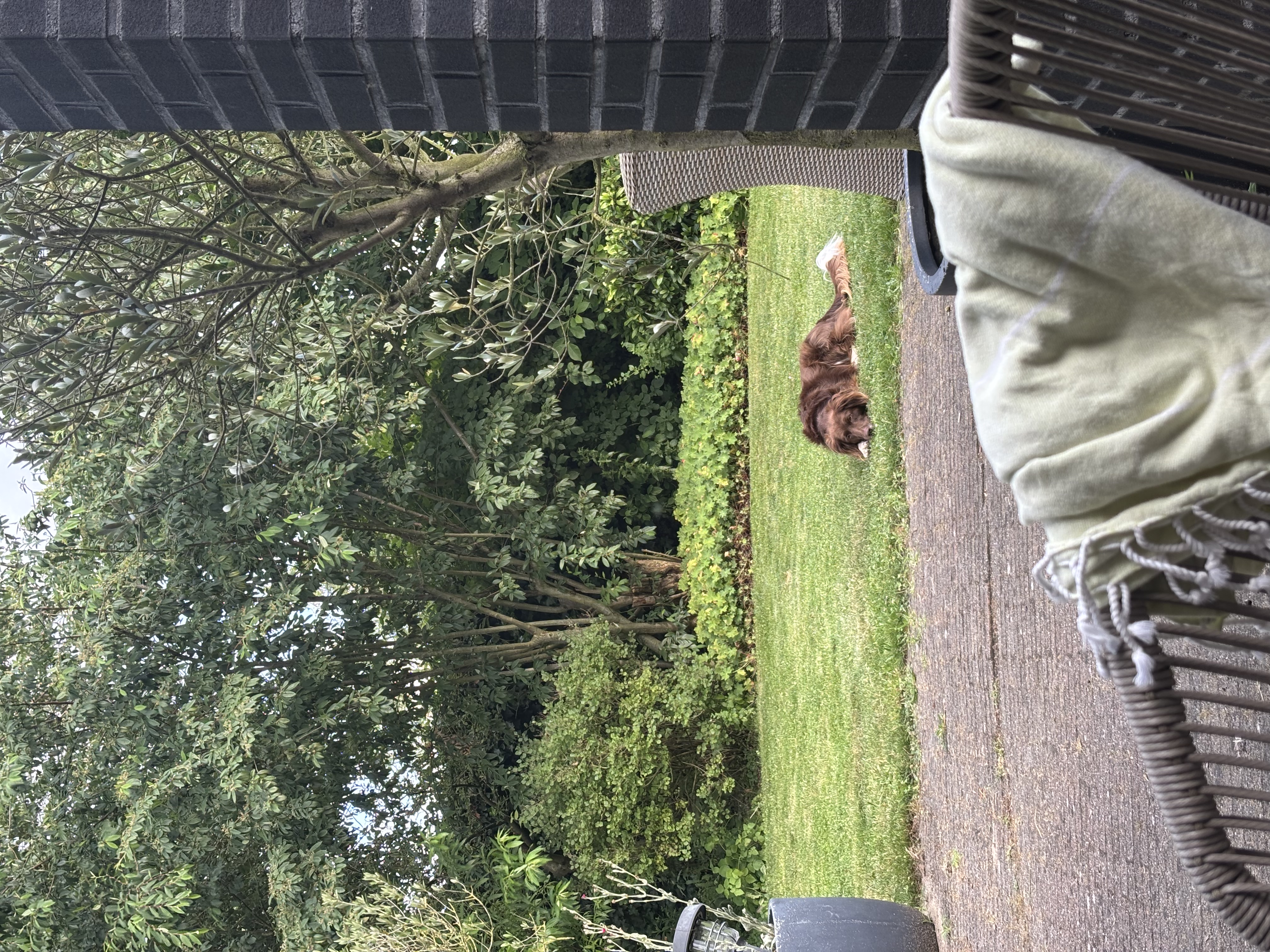 image-6