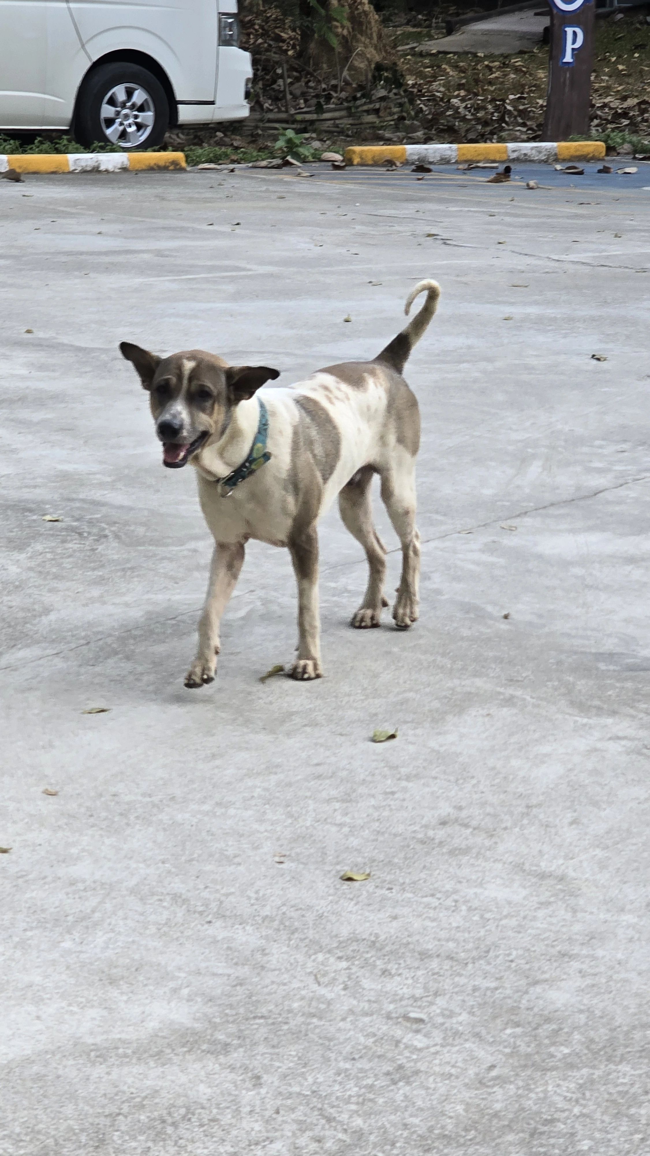 image-10
