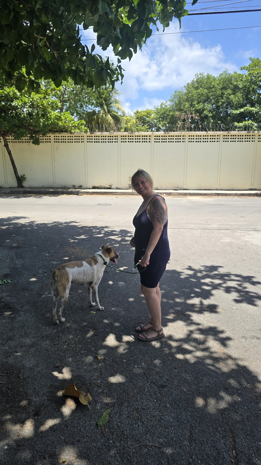 image-21
