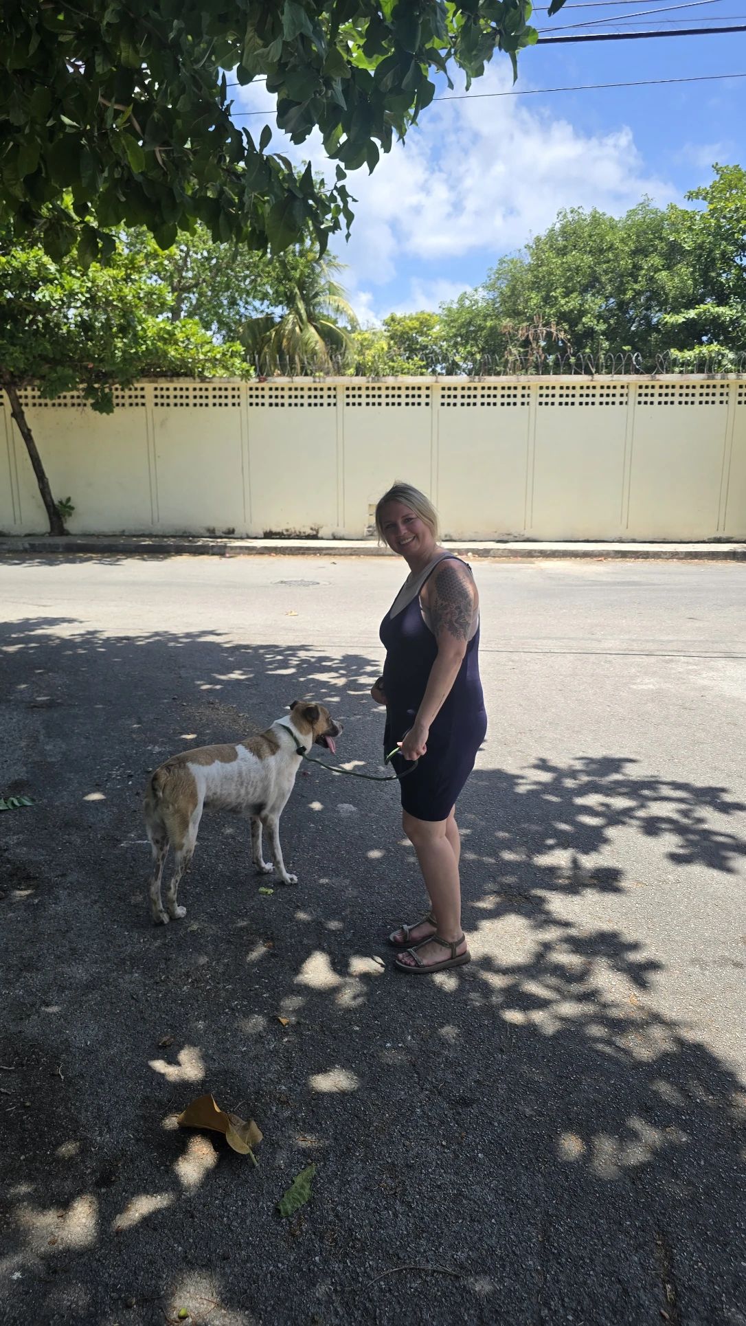 image-21