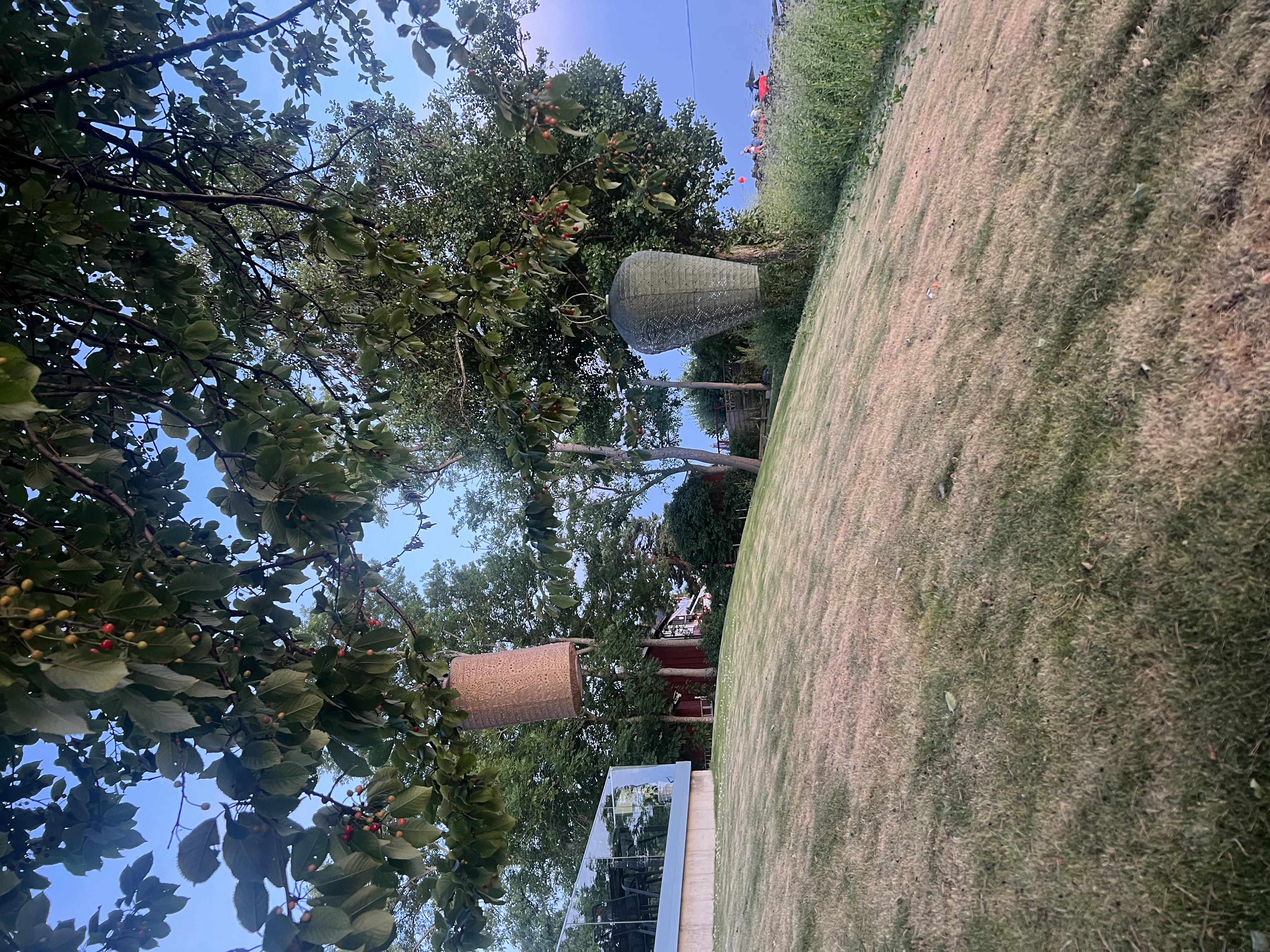 image-14