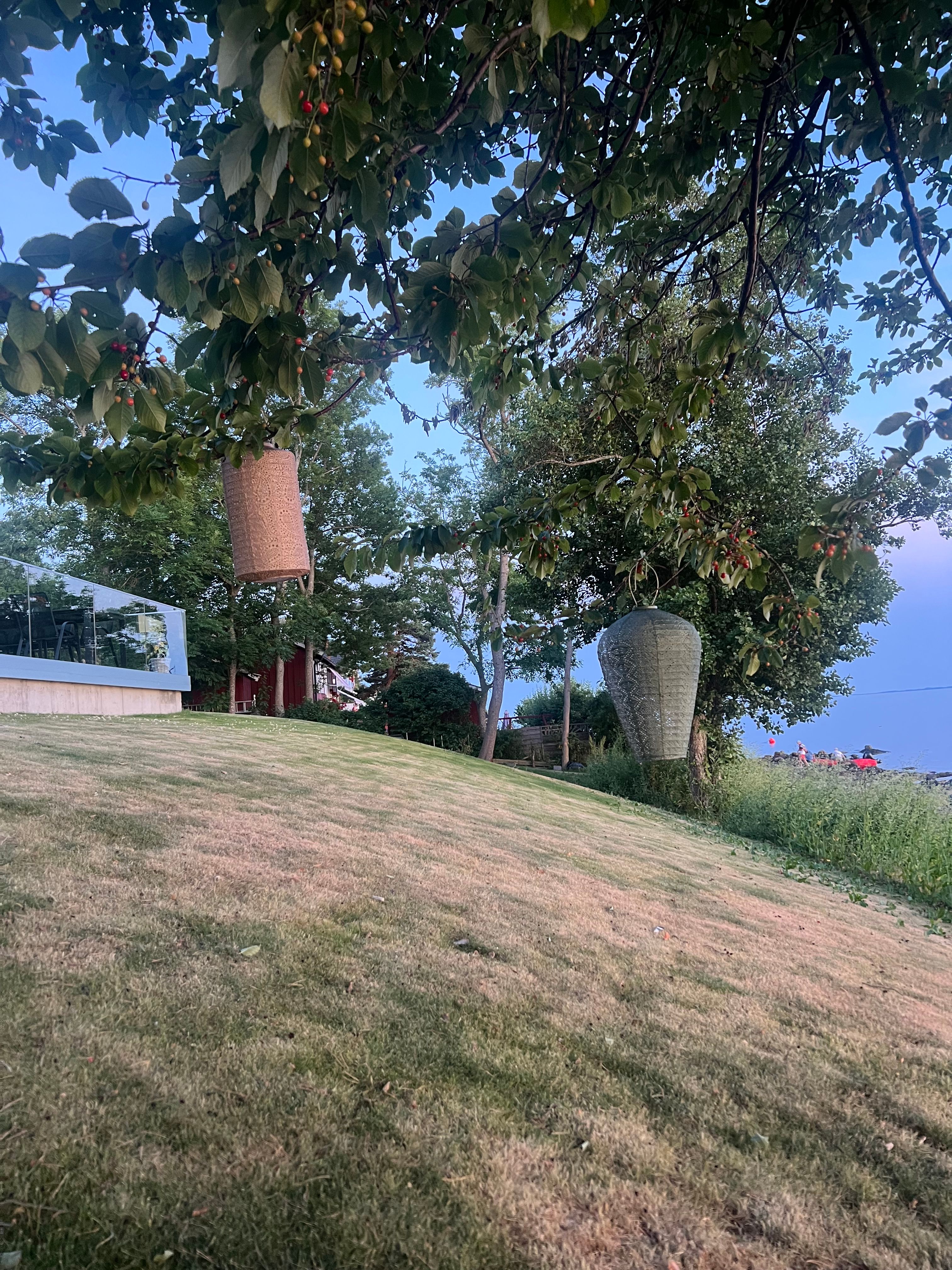 image-14