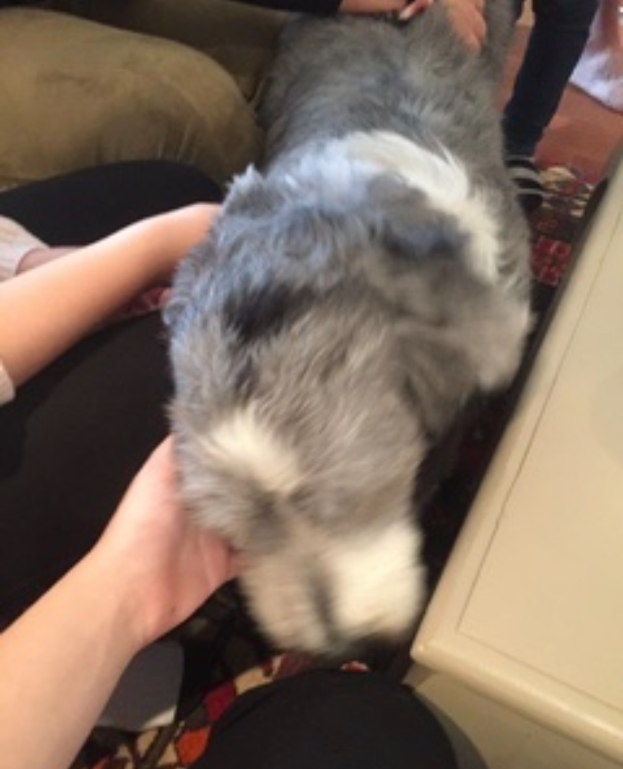 image-9