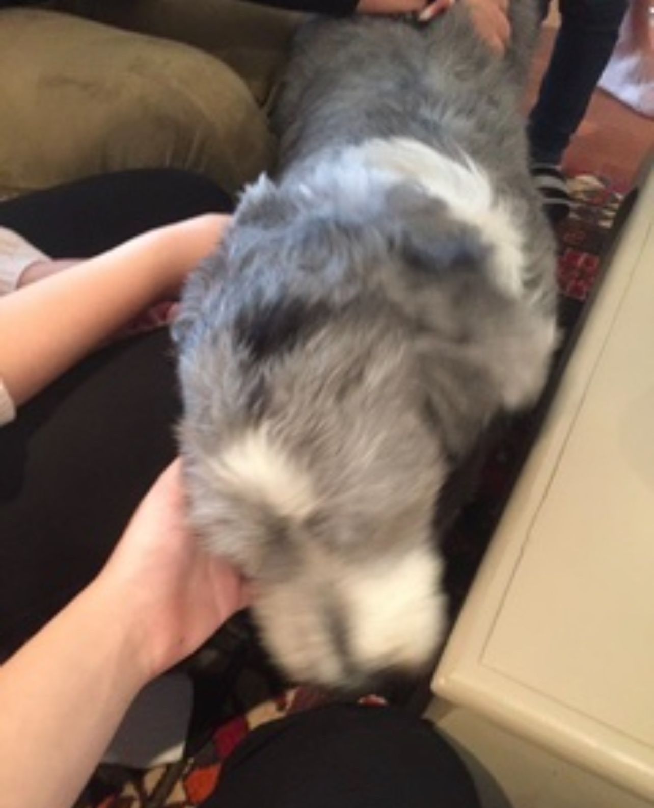 image-9