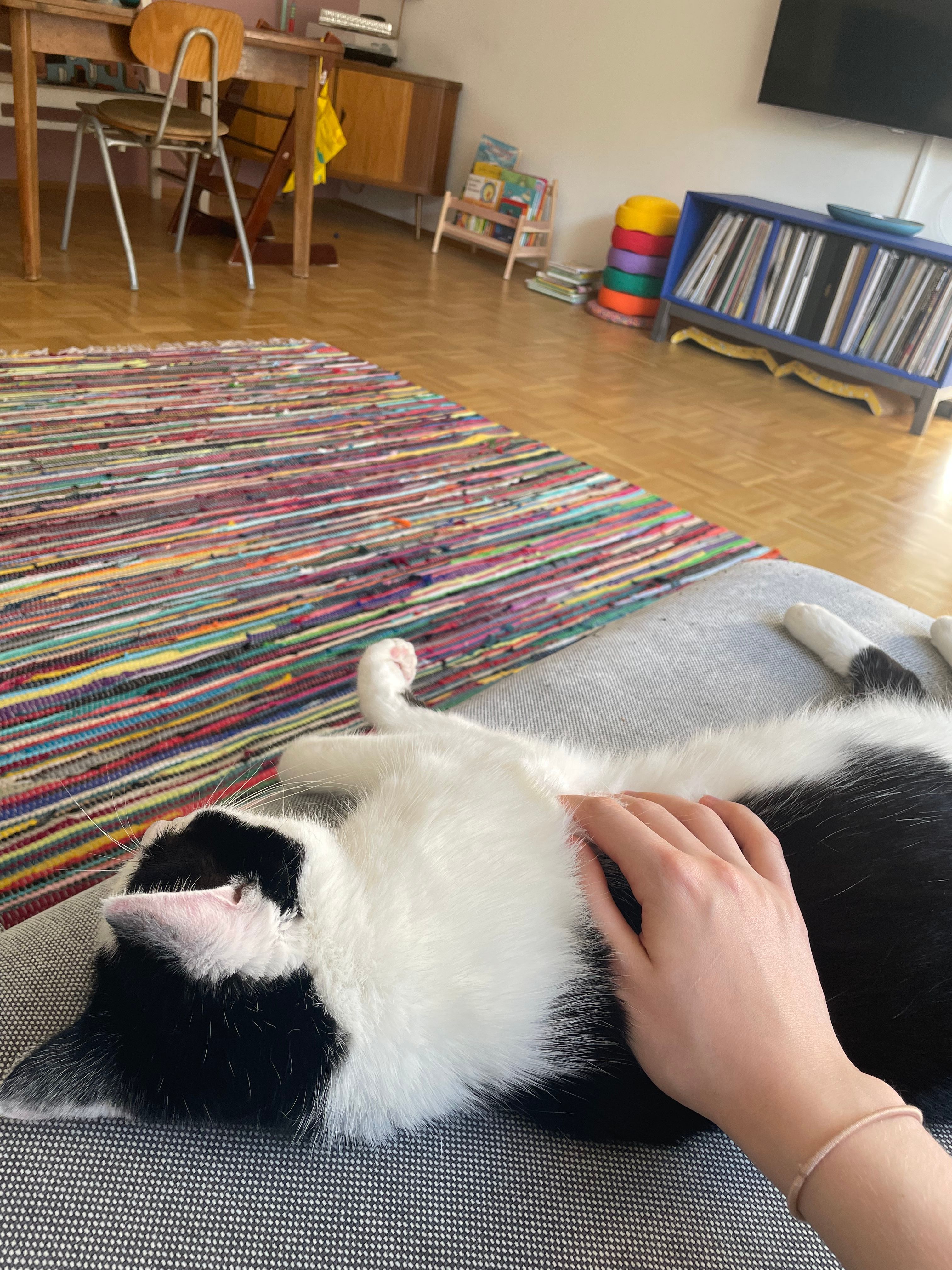 image-8