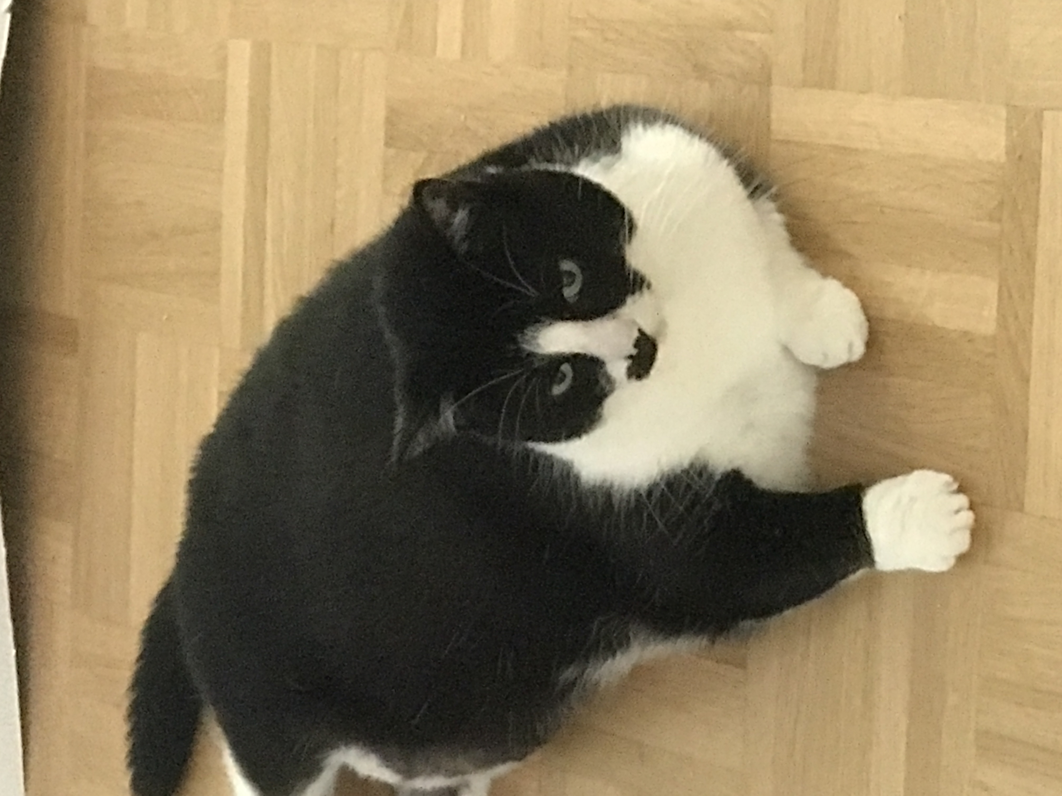 image-6