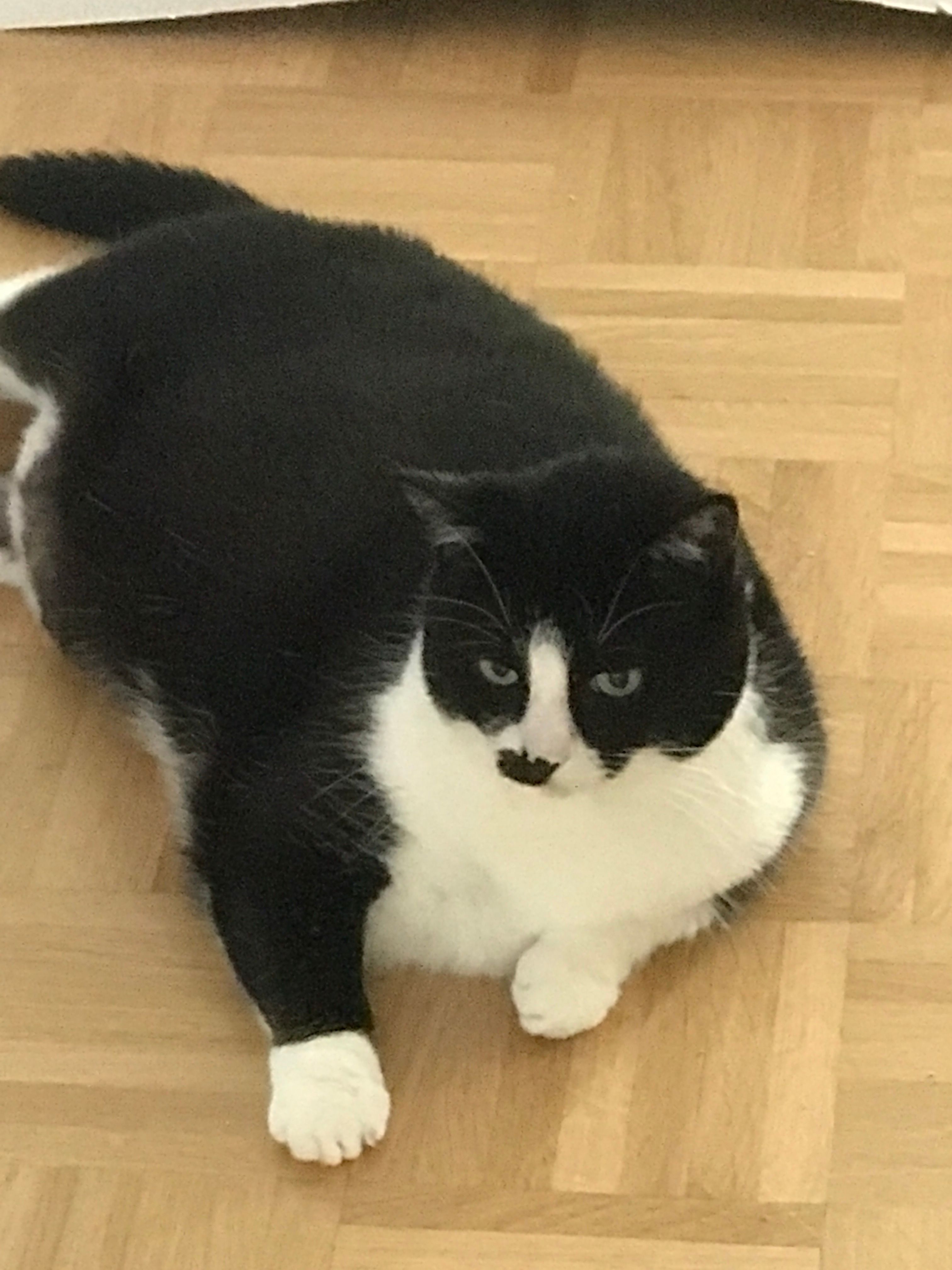 image-6