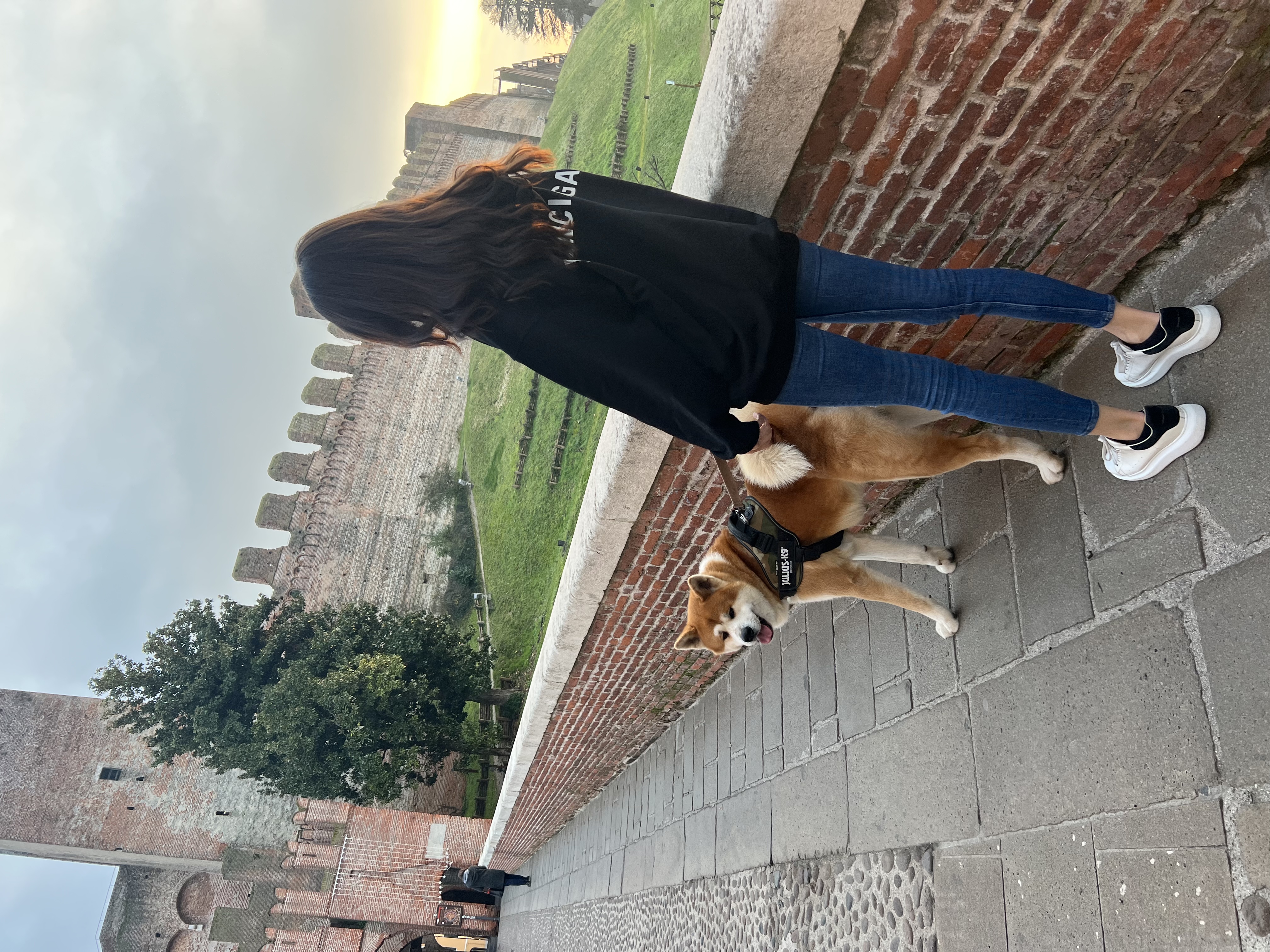 image-11