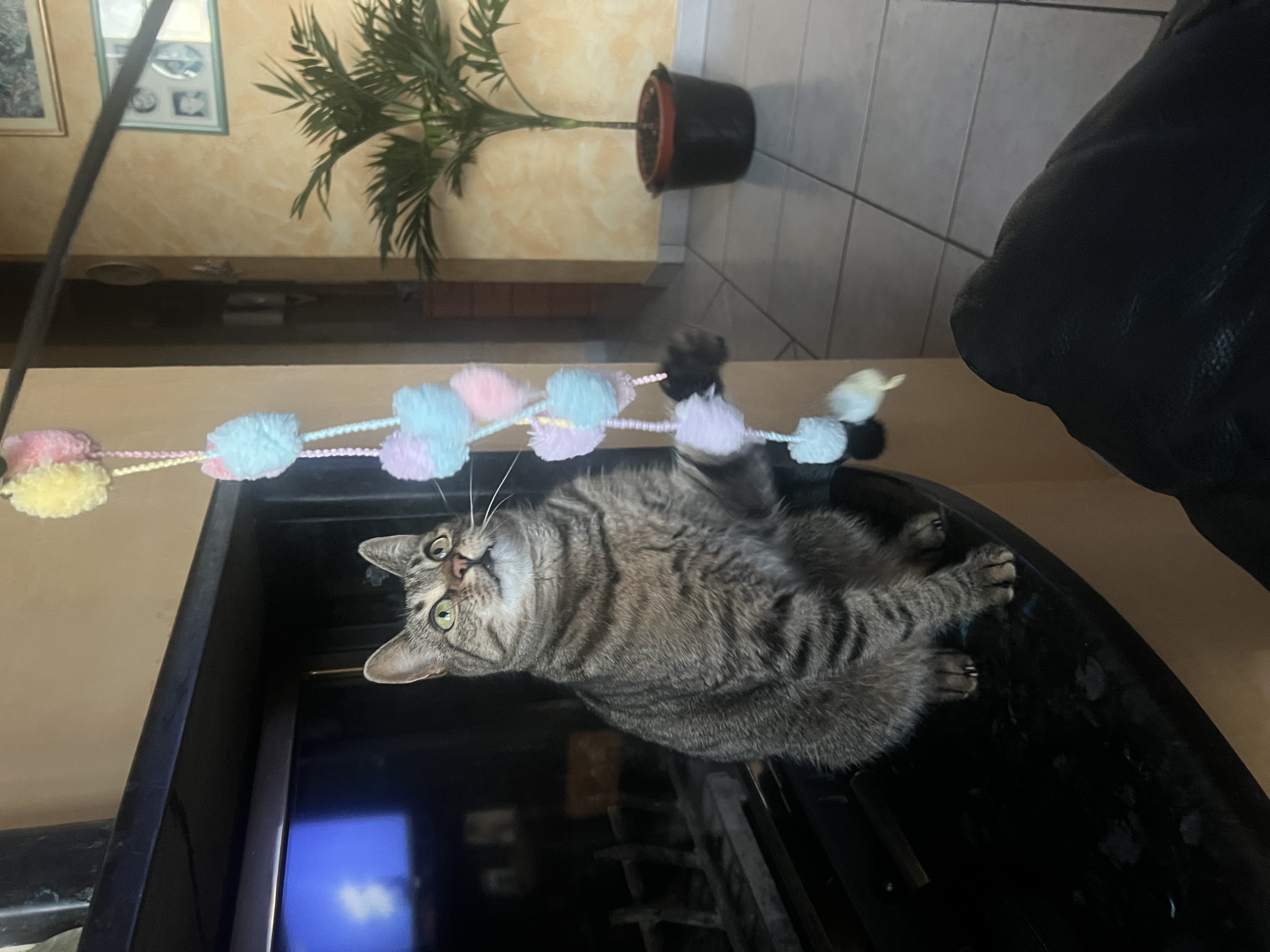 image-7