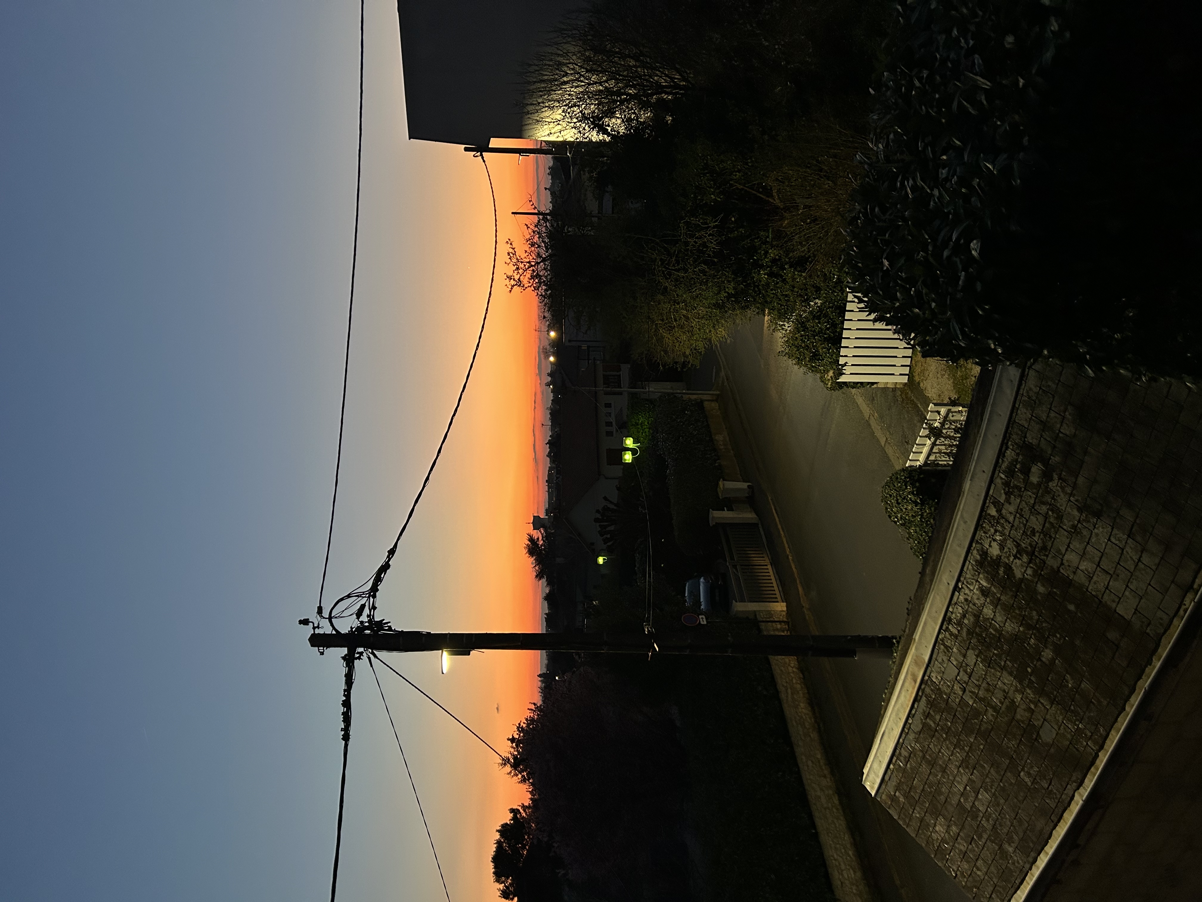 image-19
