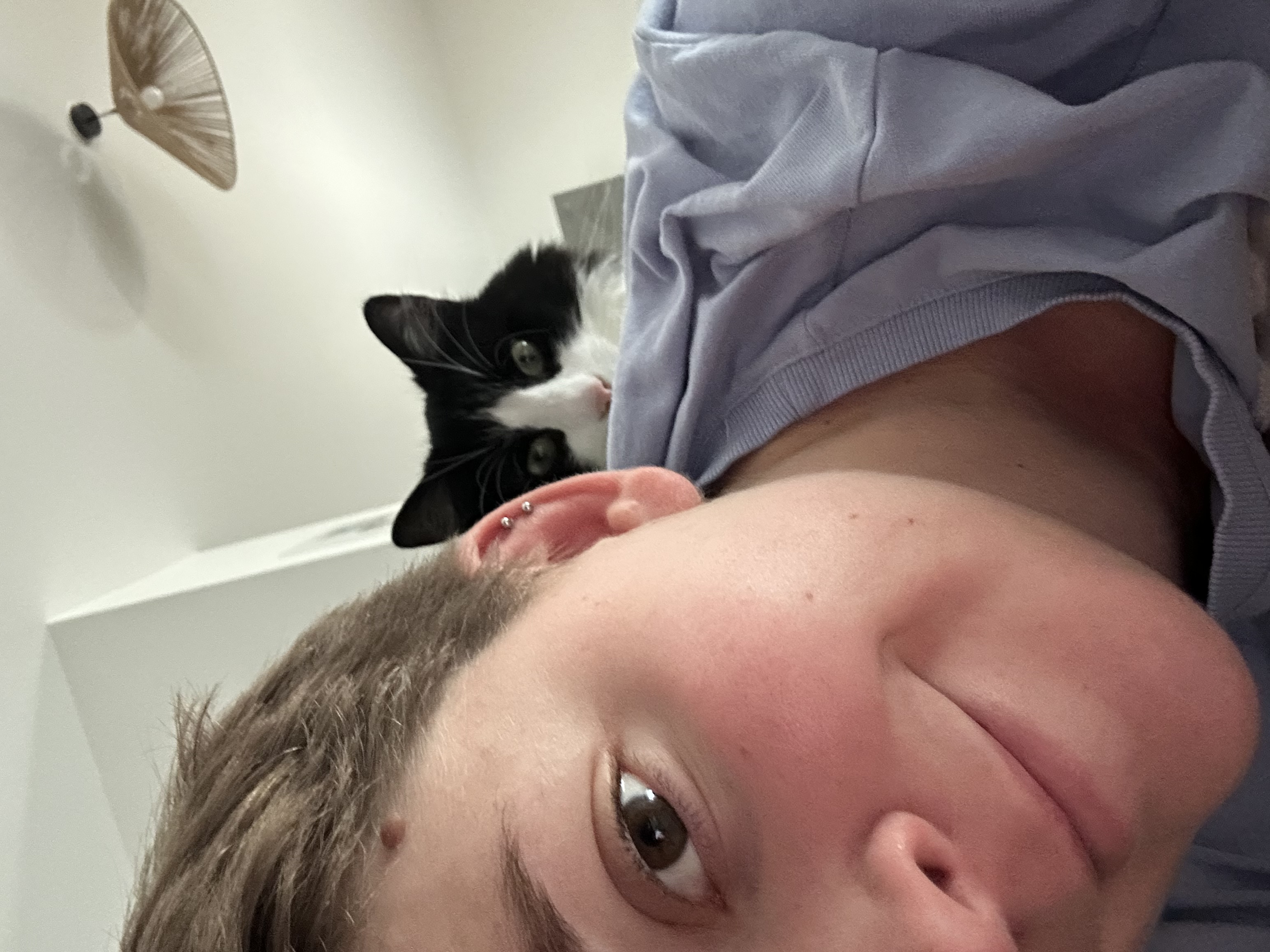 image-8