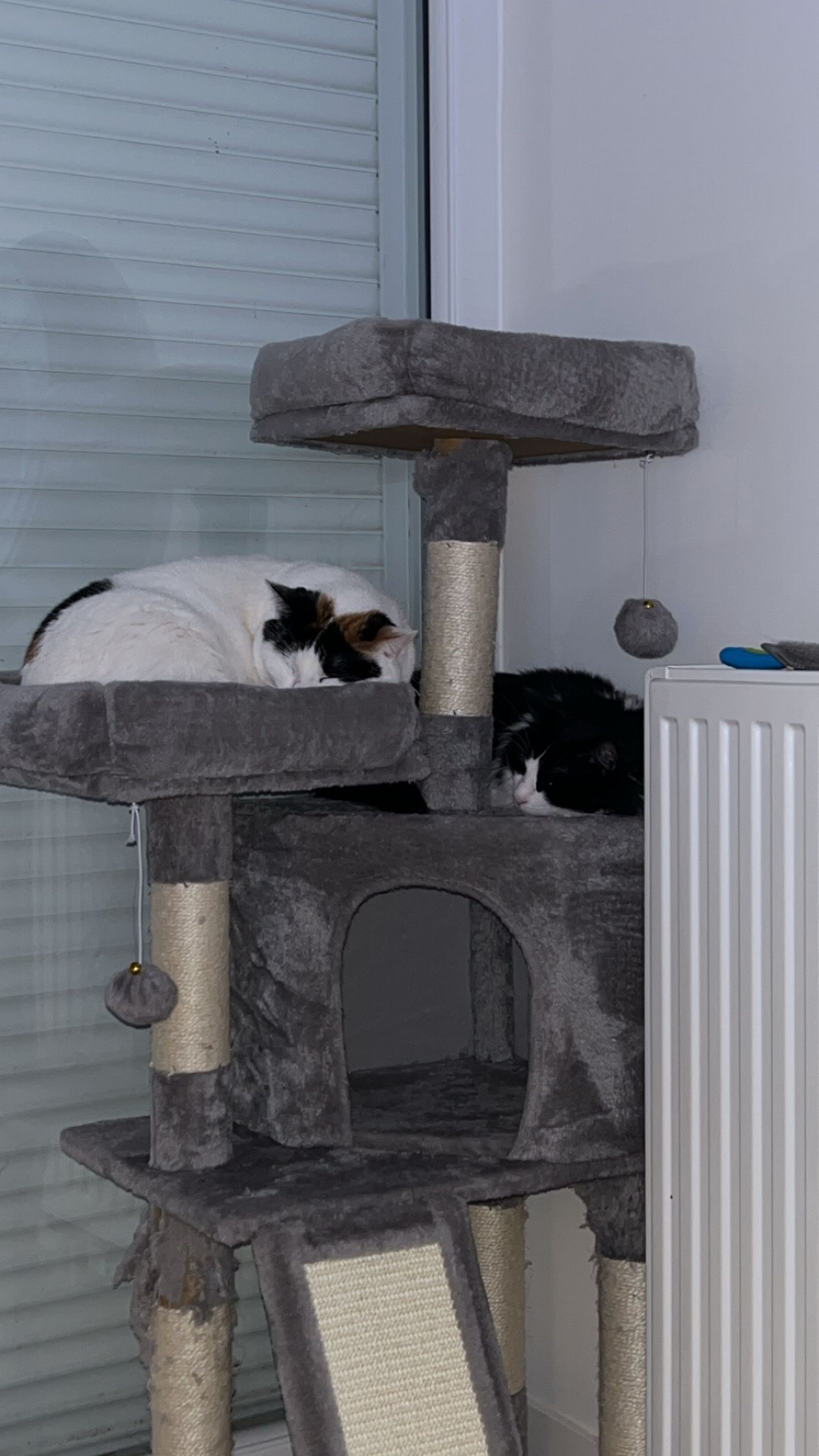 image-6