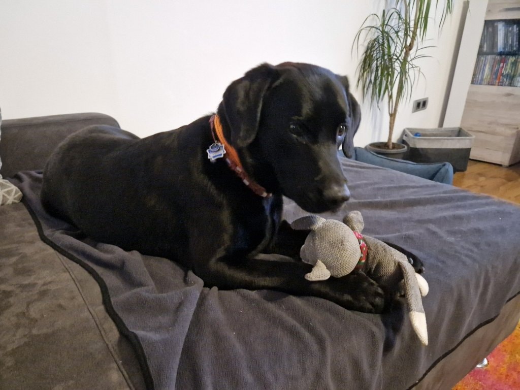 image-6