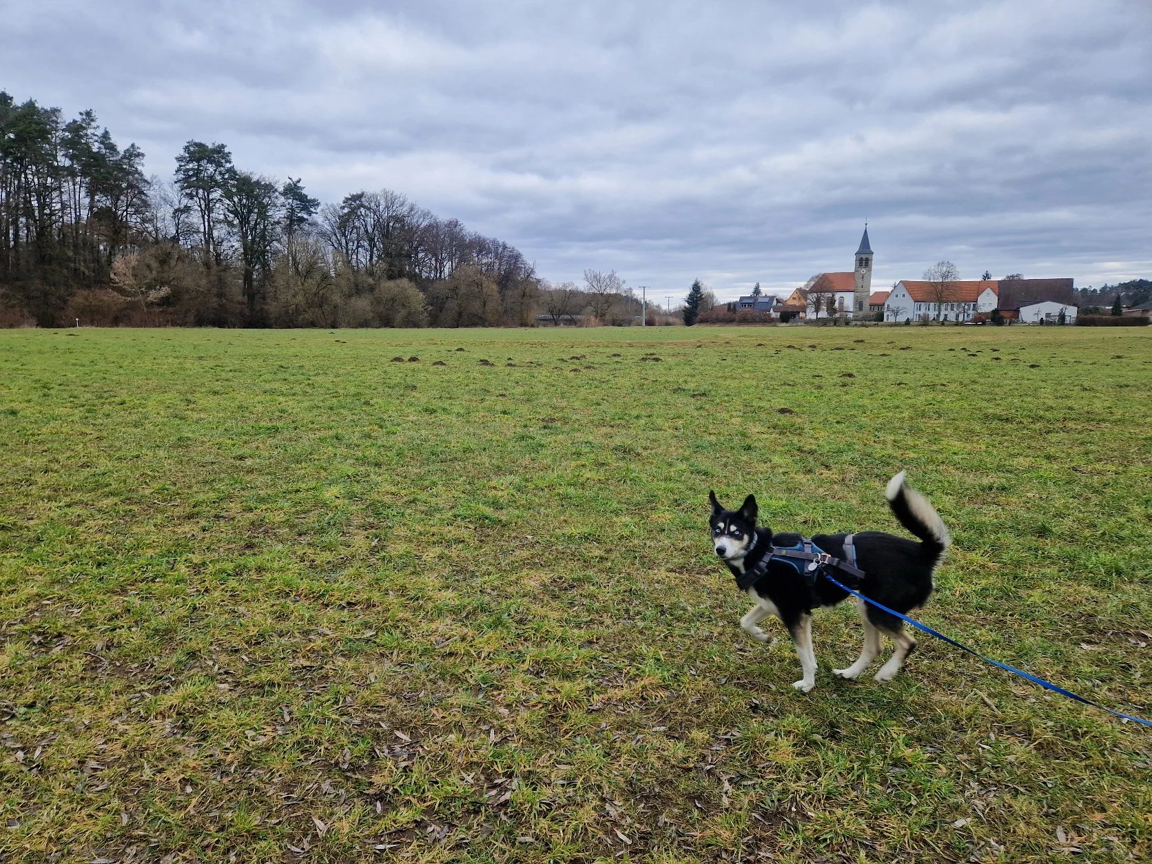 image-18