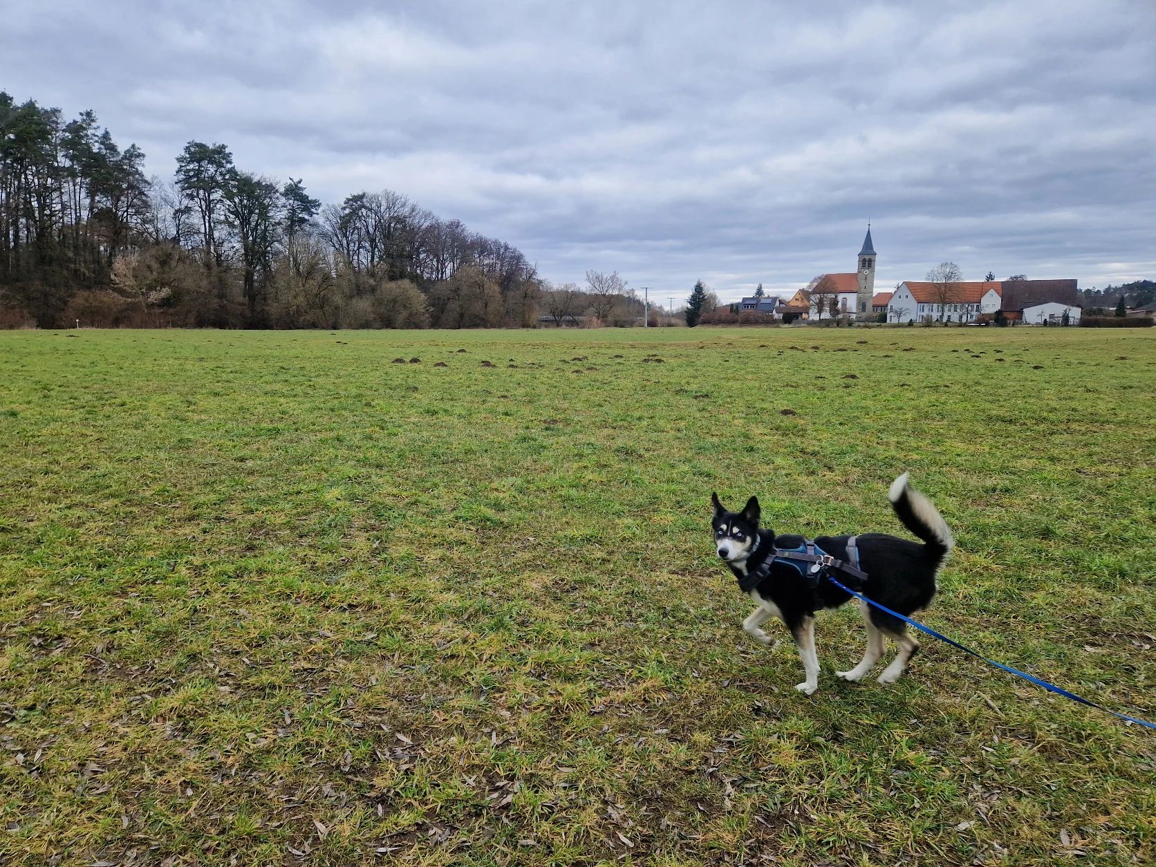 image-18
