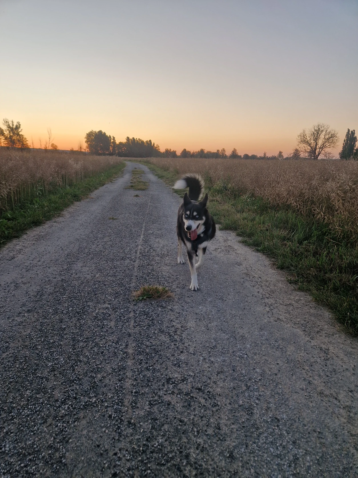 image-14
