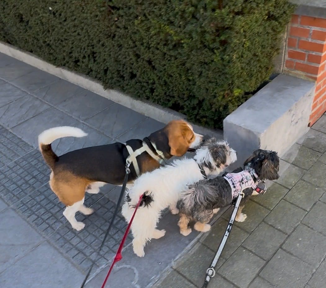image-17