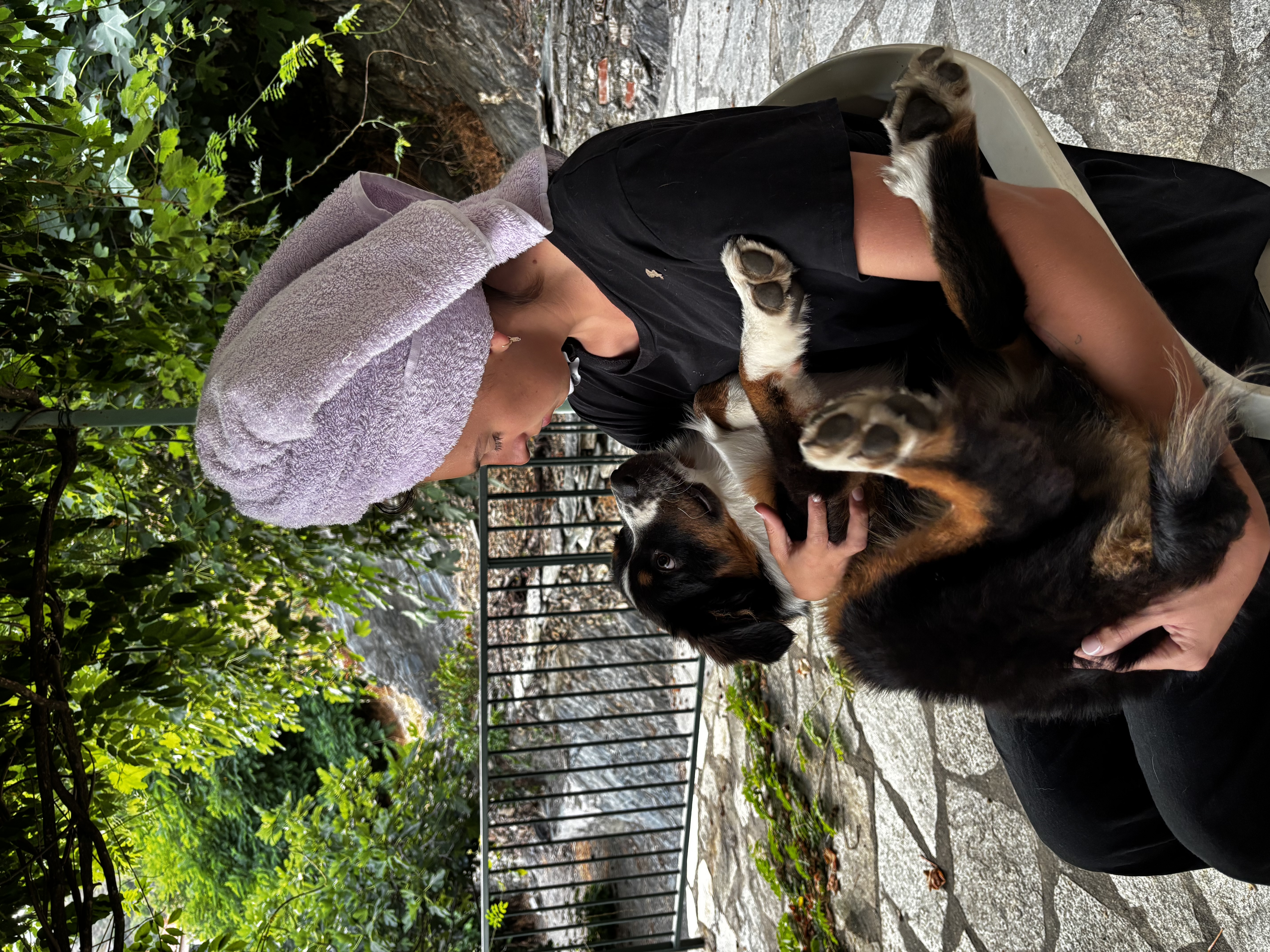 image-7