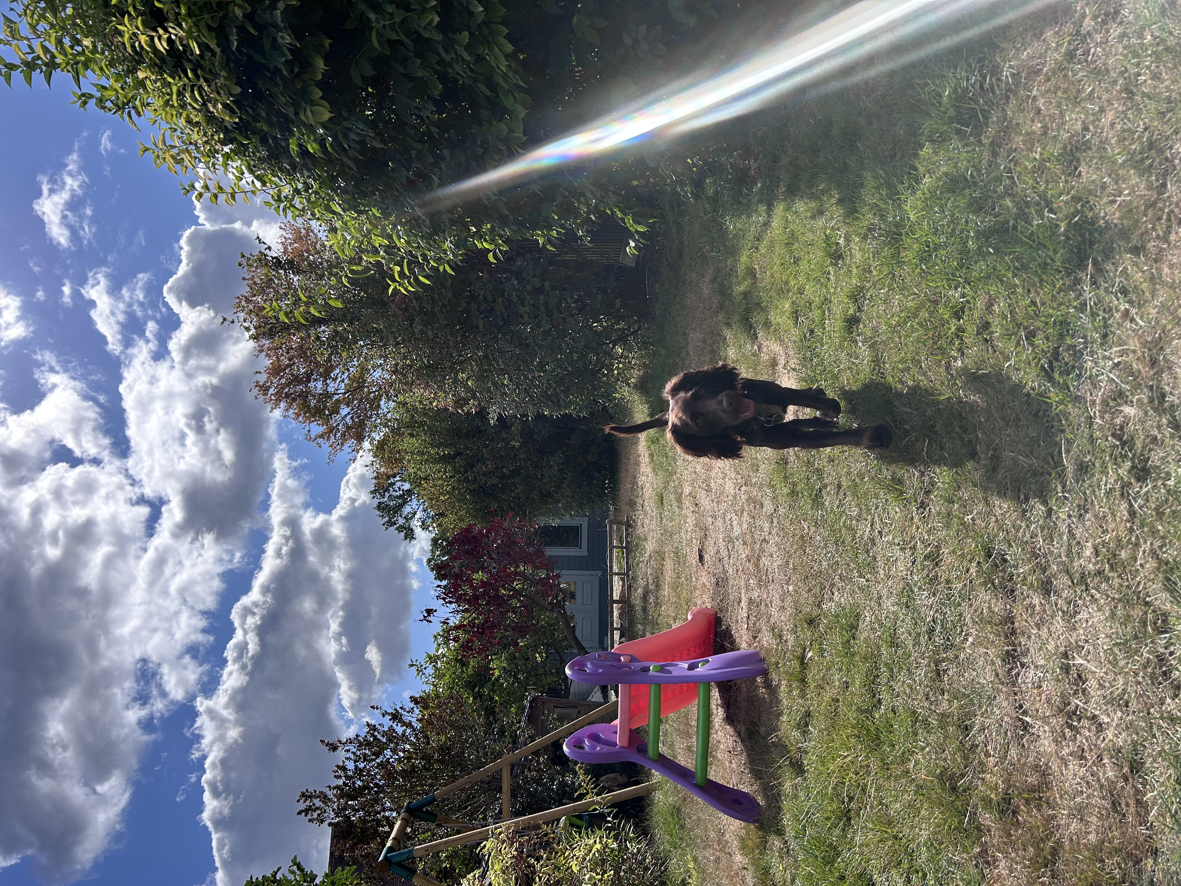 image-0