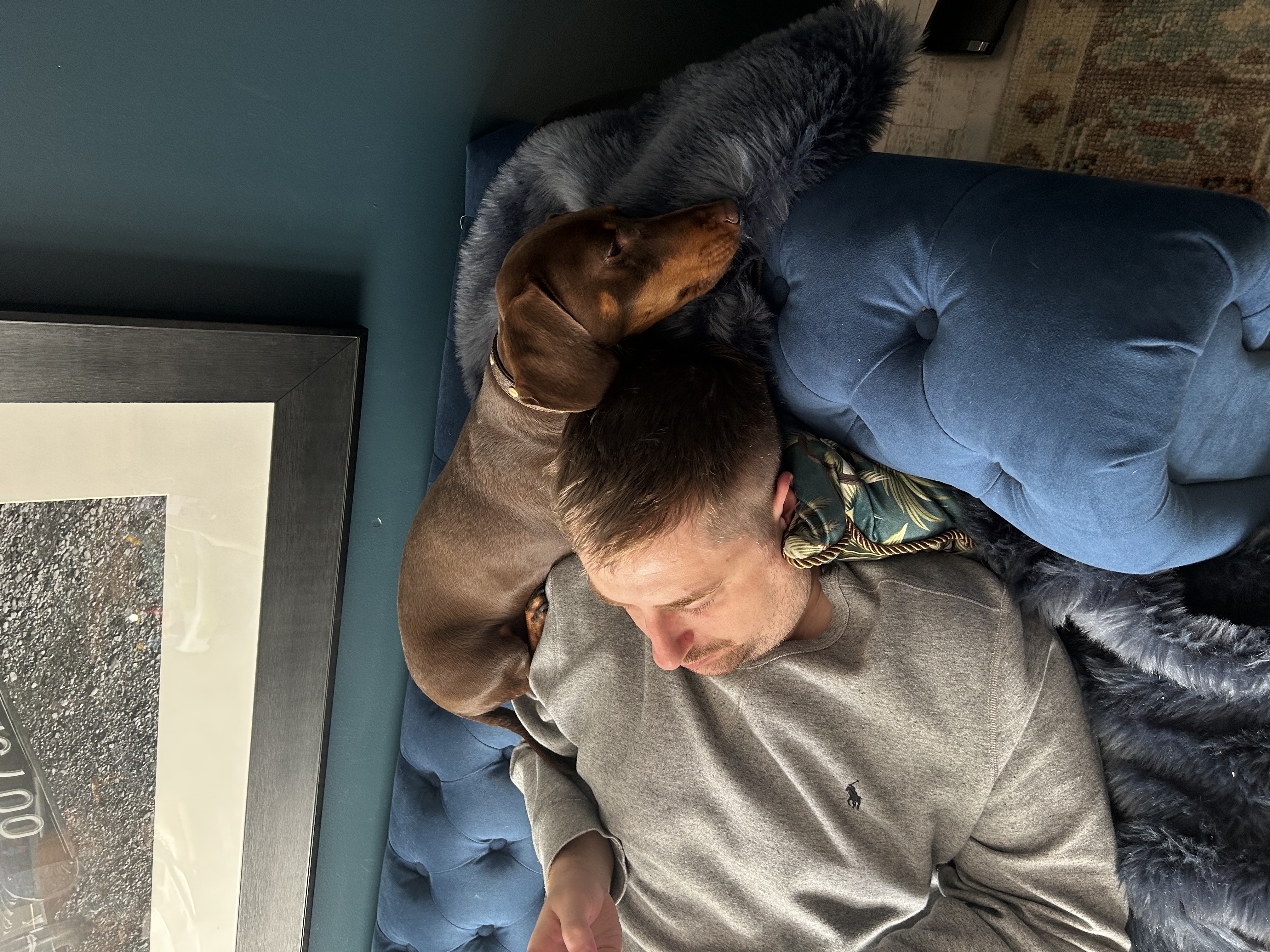 image-8