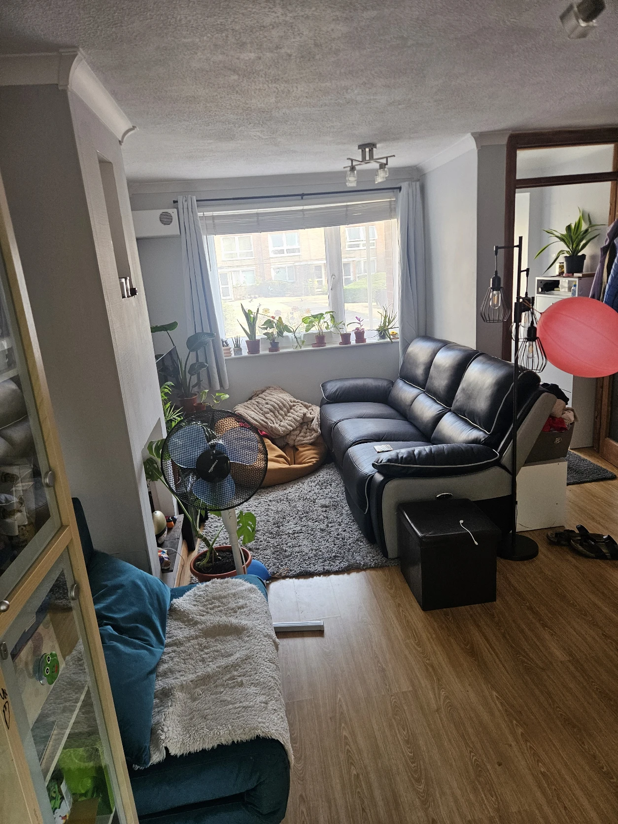 image-20