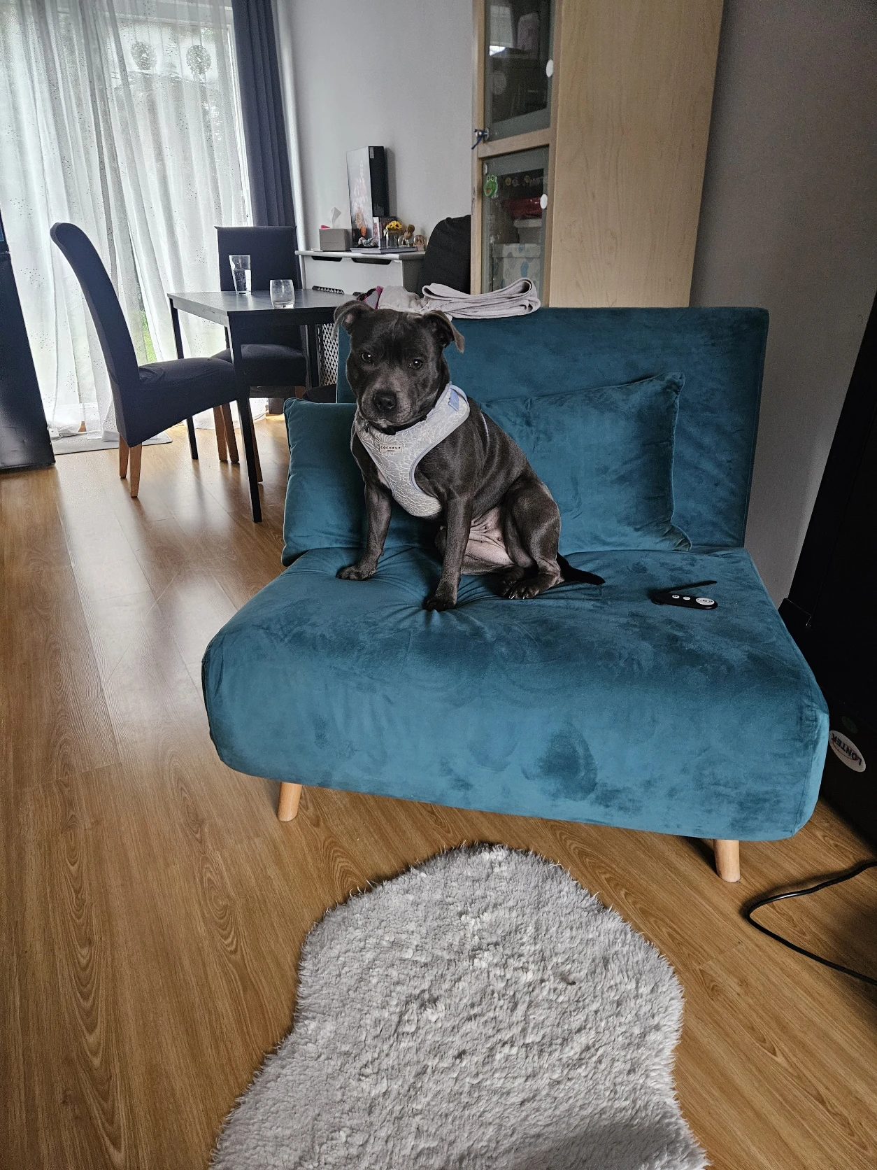 image-16