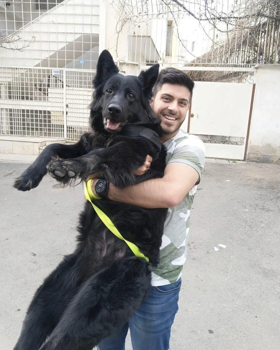 image-5
