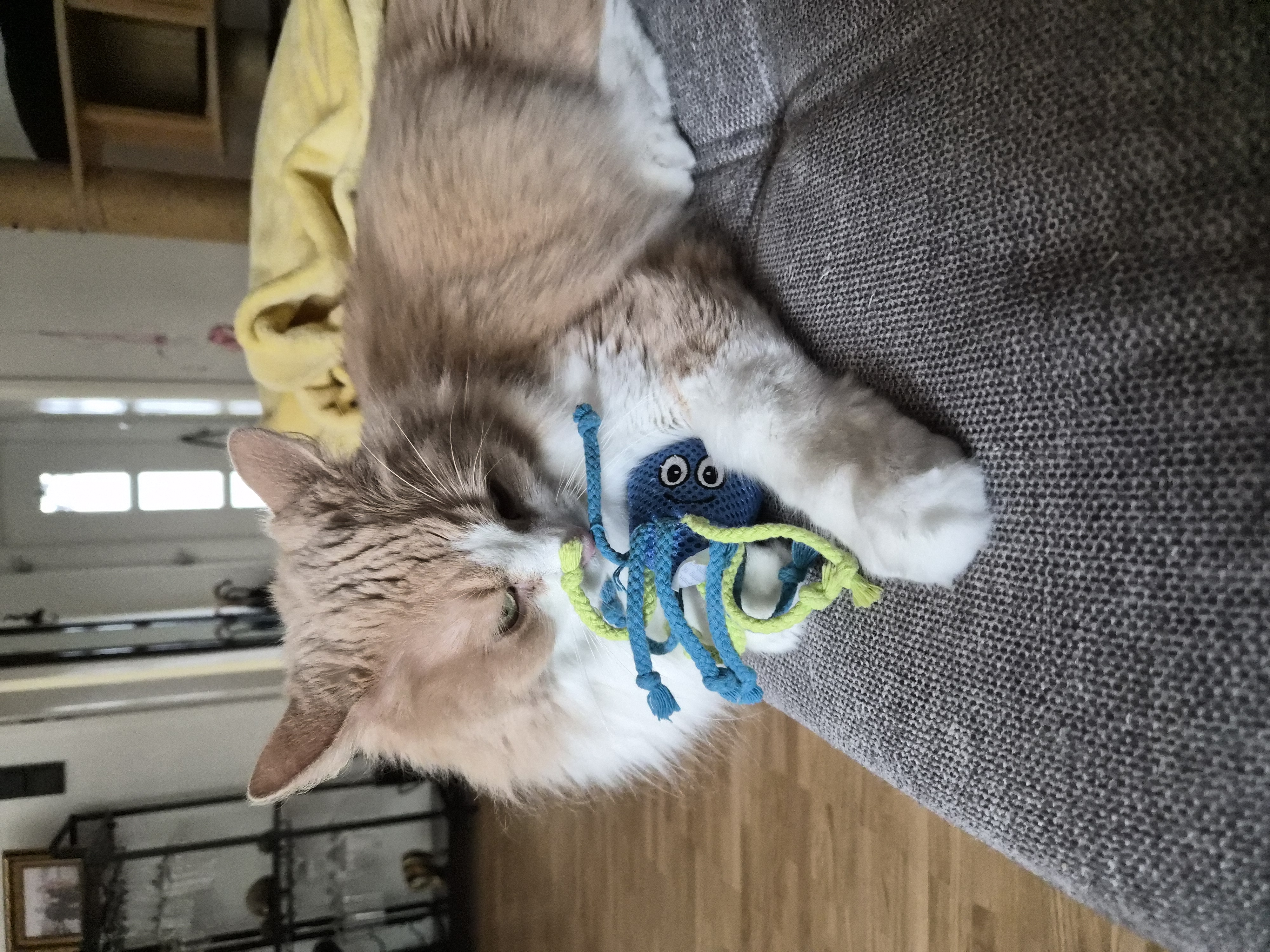image-6