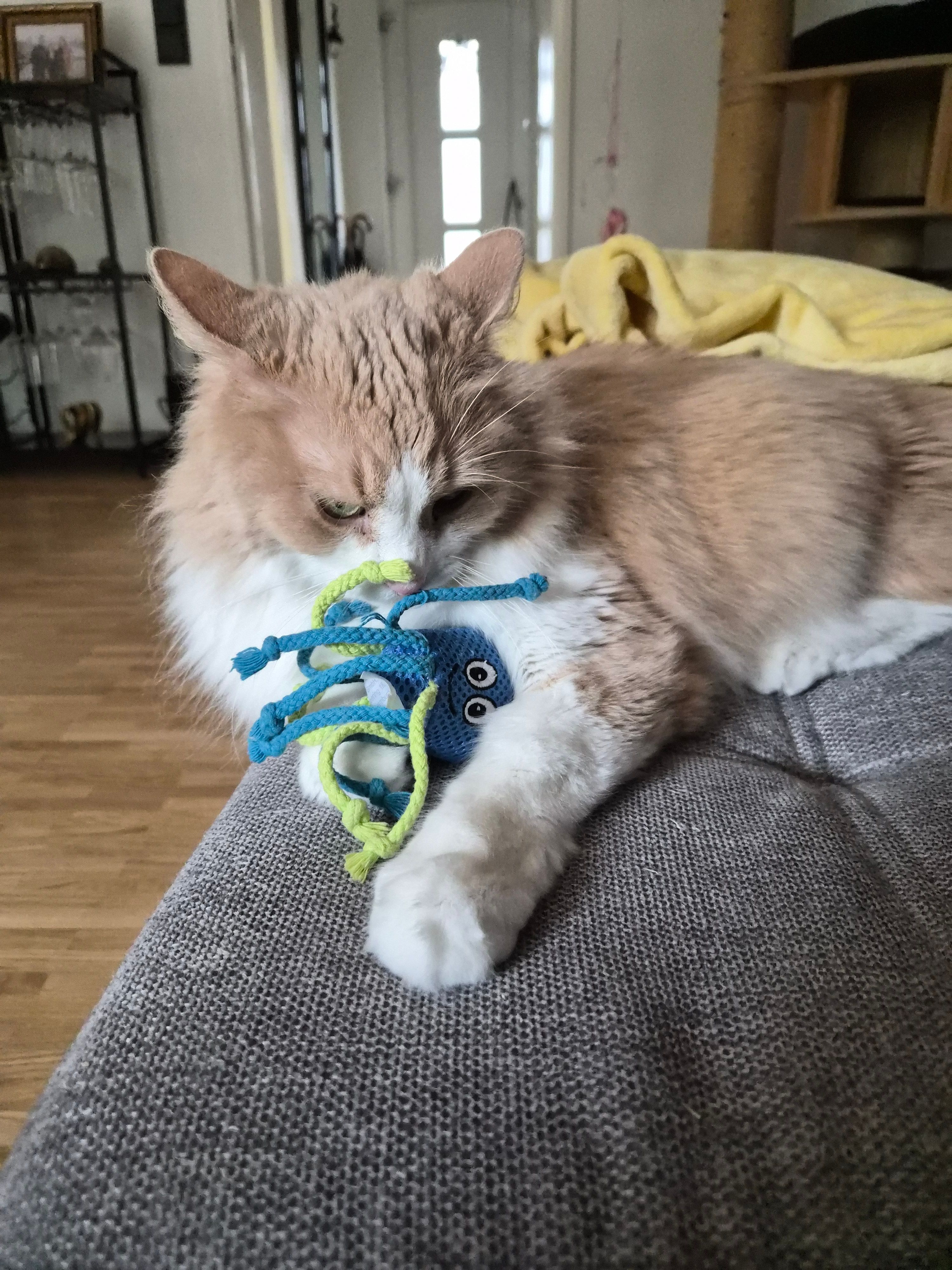 image-6
