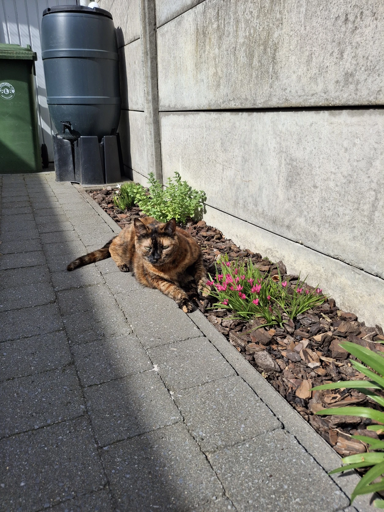 image-9