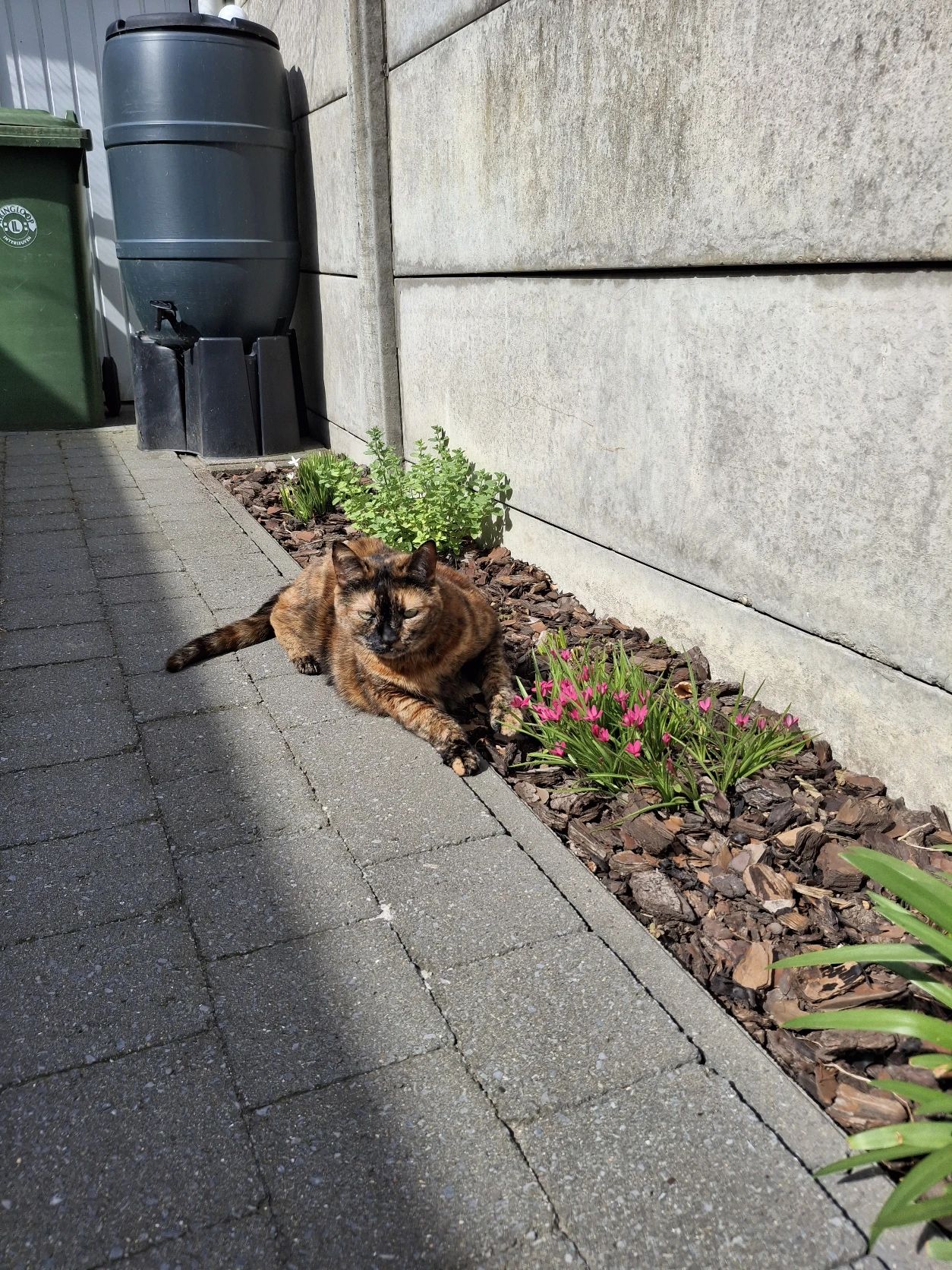 image-9