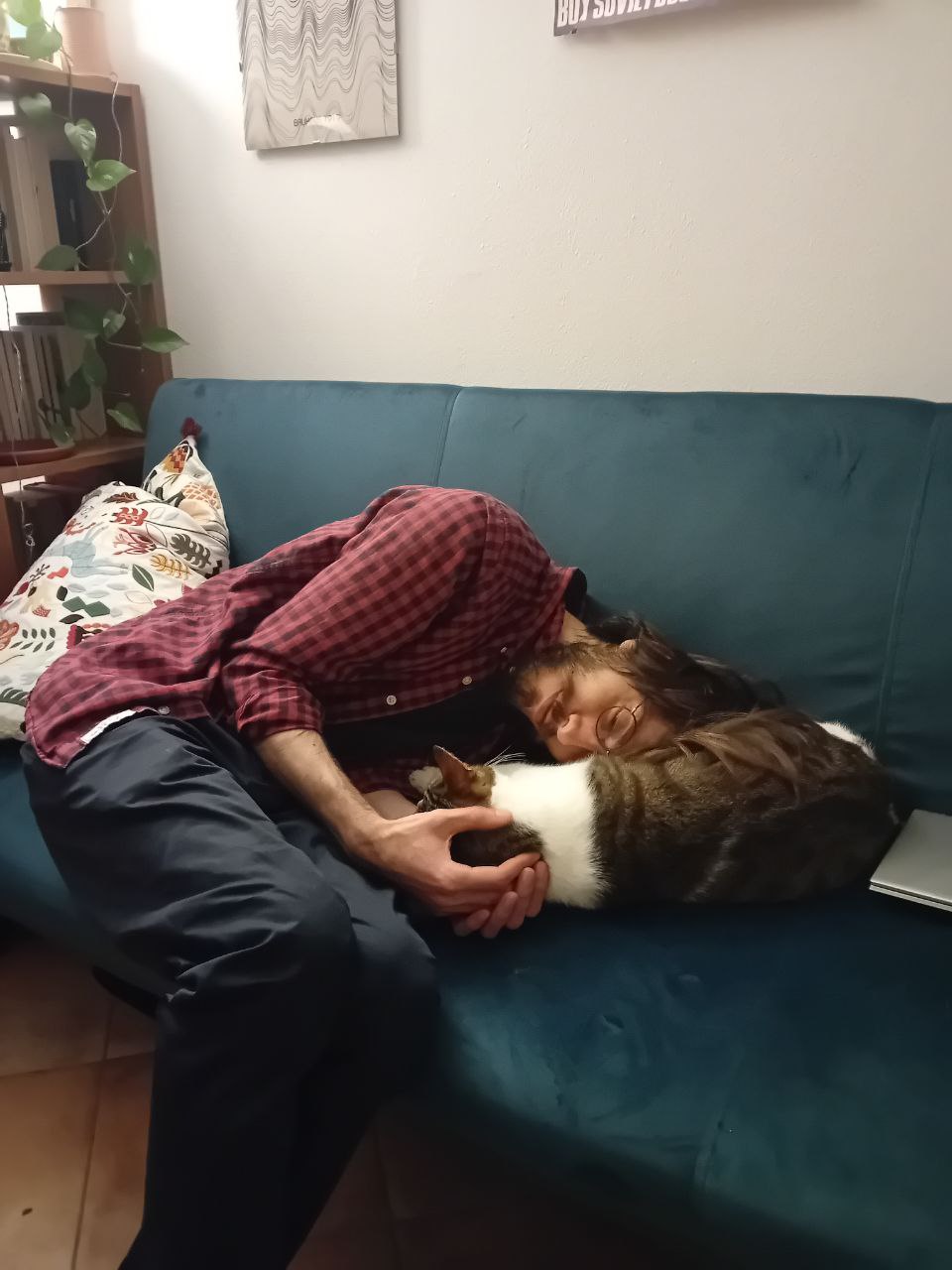 image-7