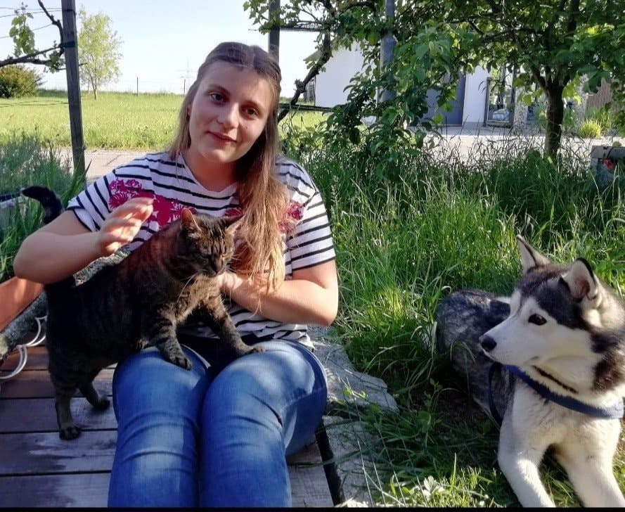 image-5