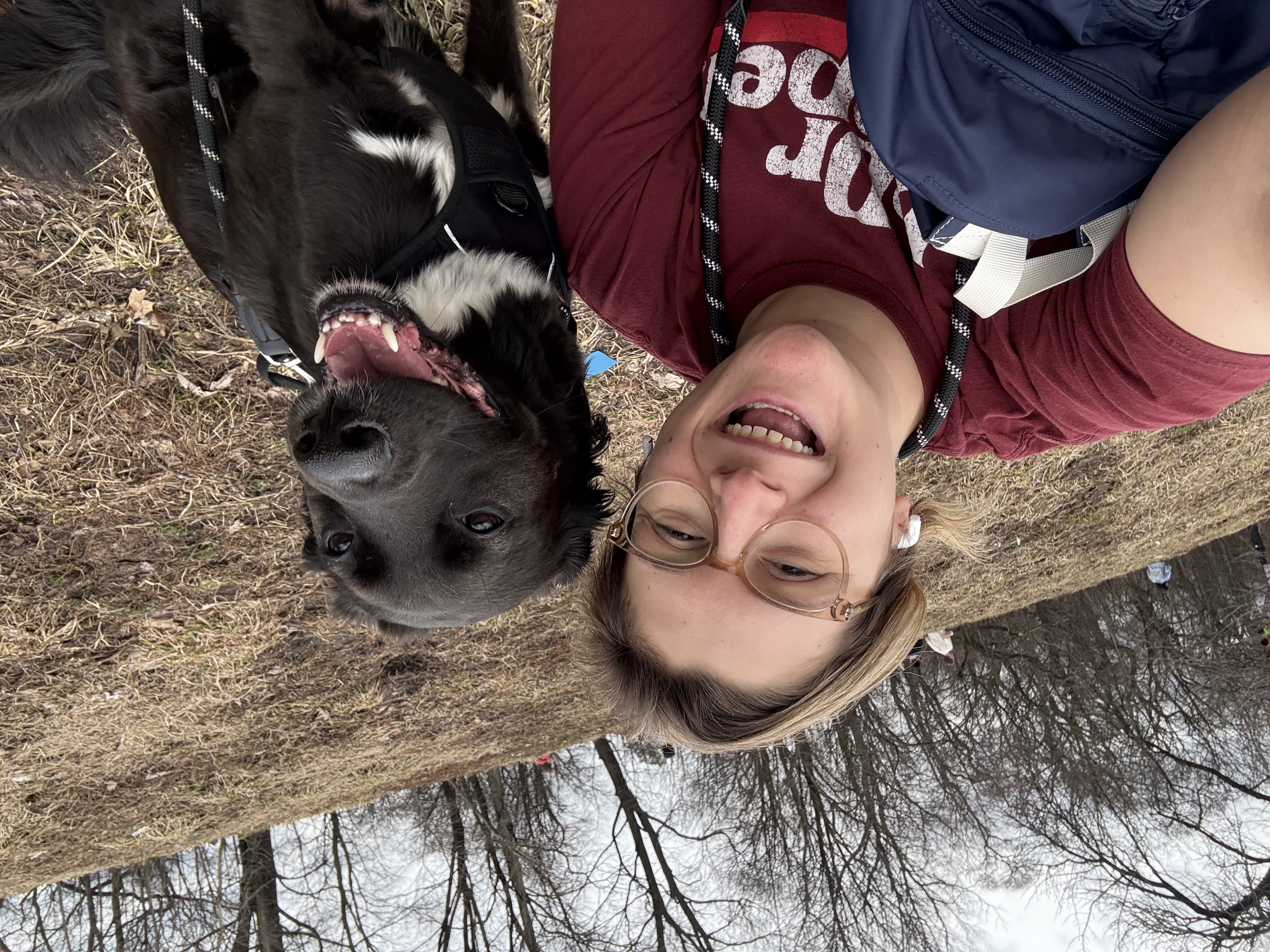 image-10