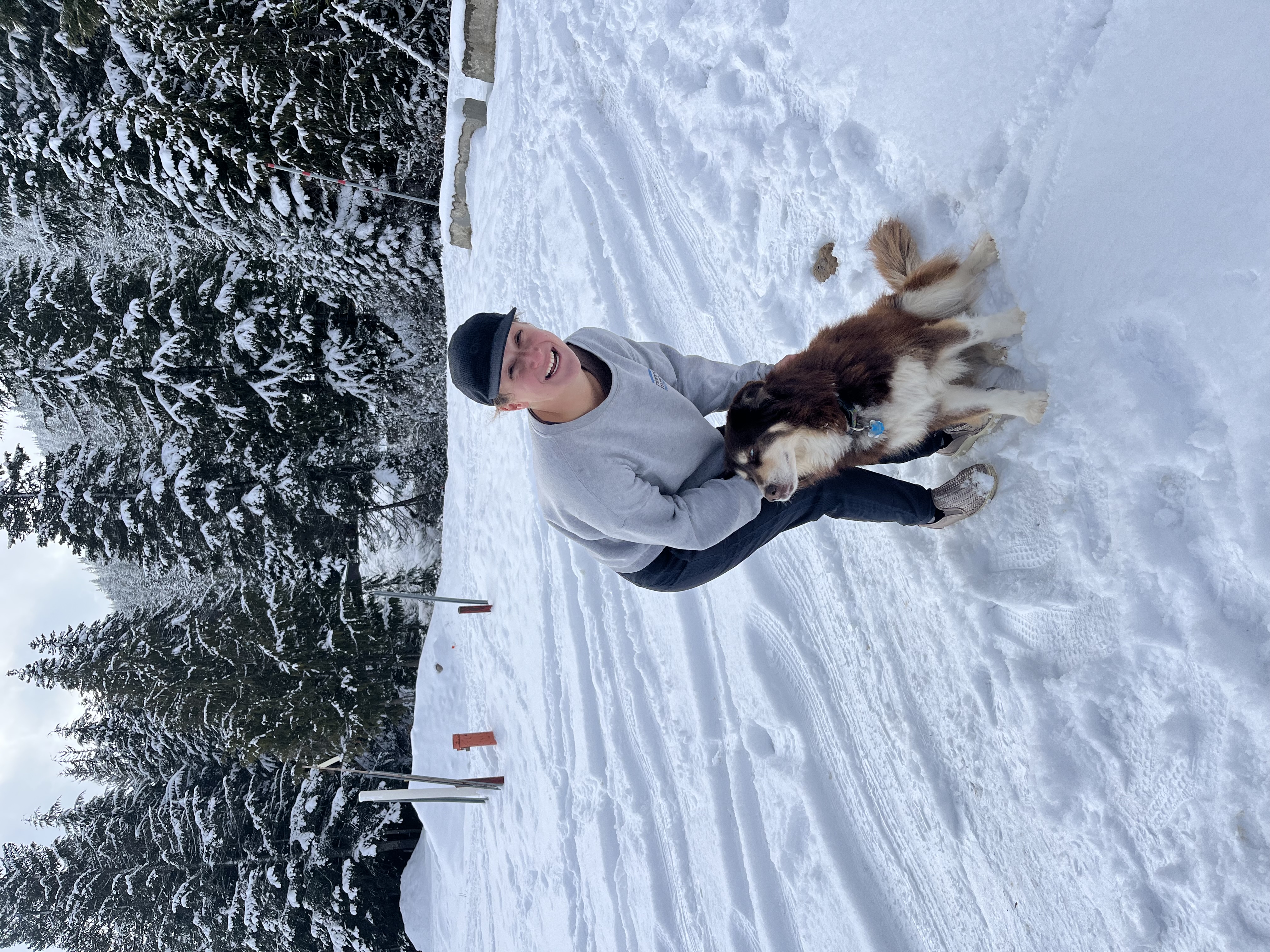 image-6