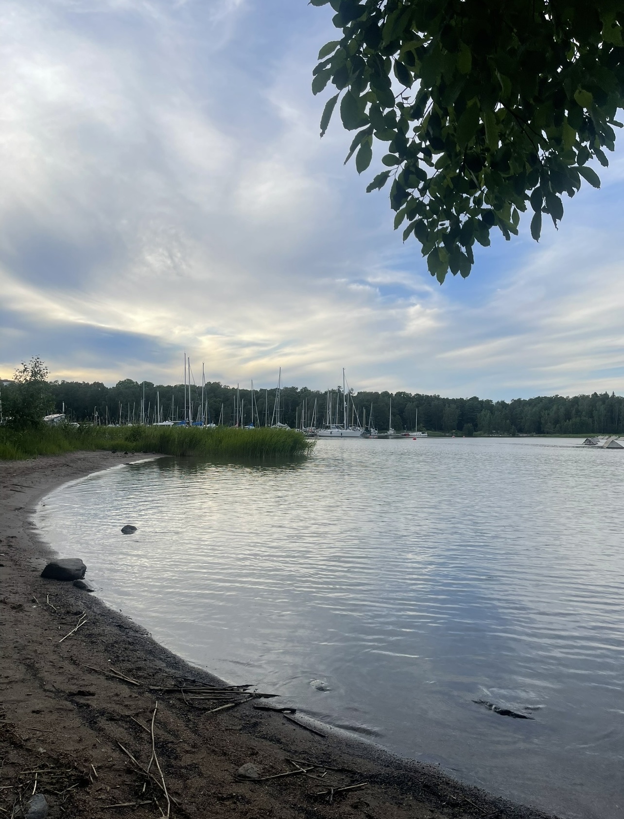 image-18