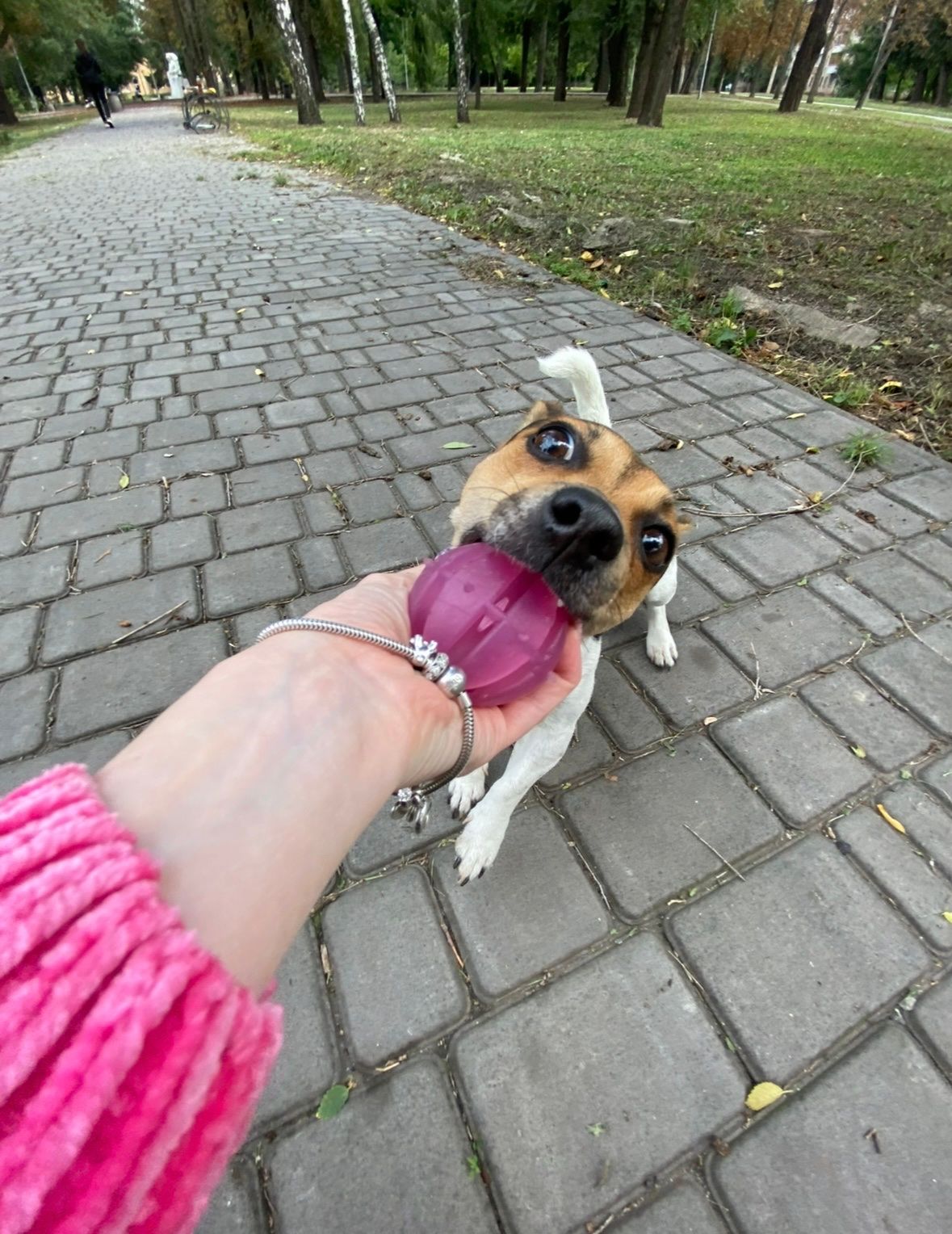 image-7