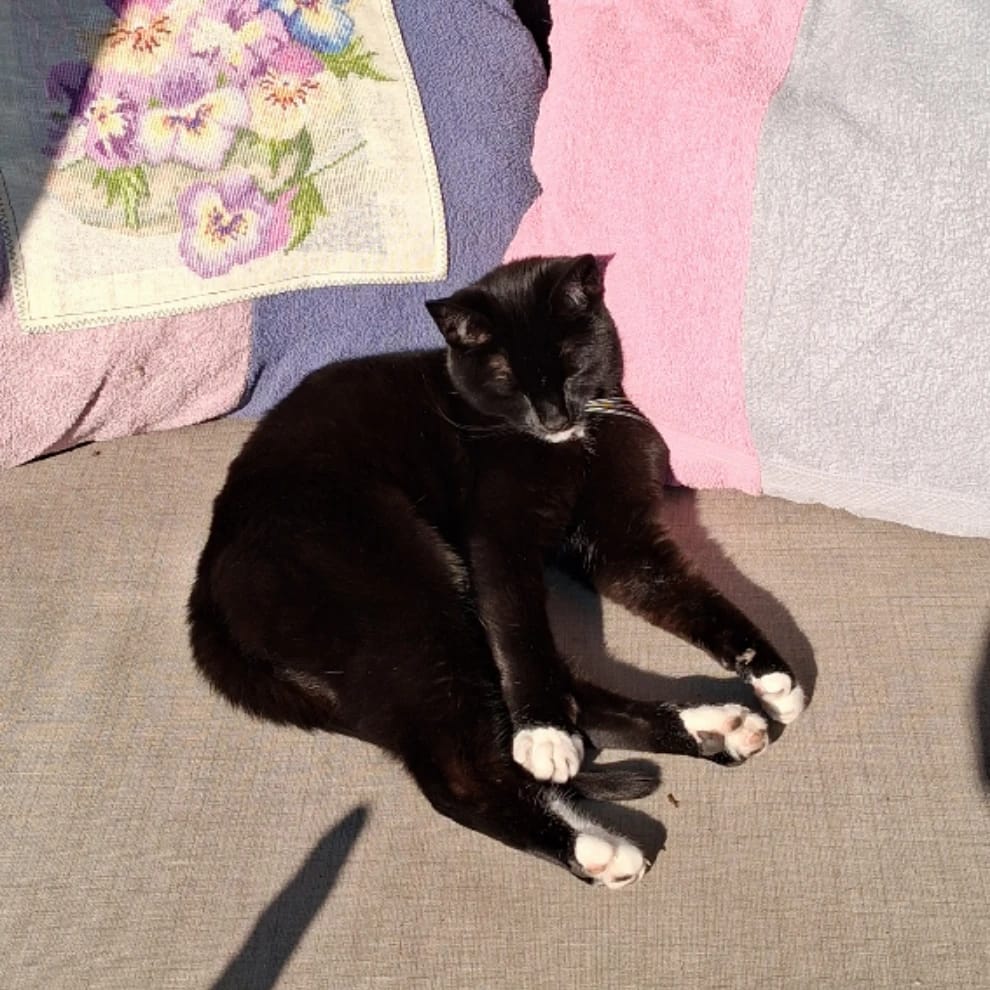 Greetje