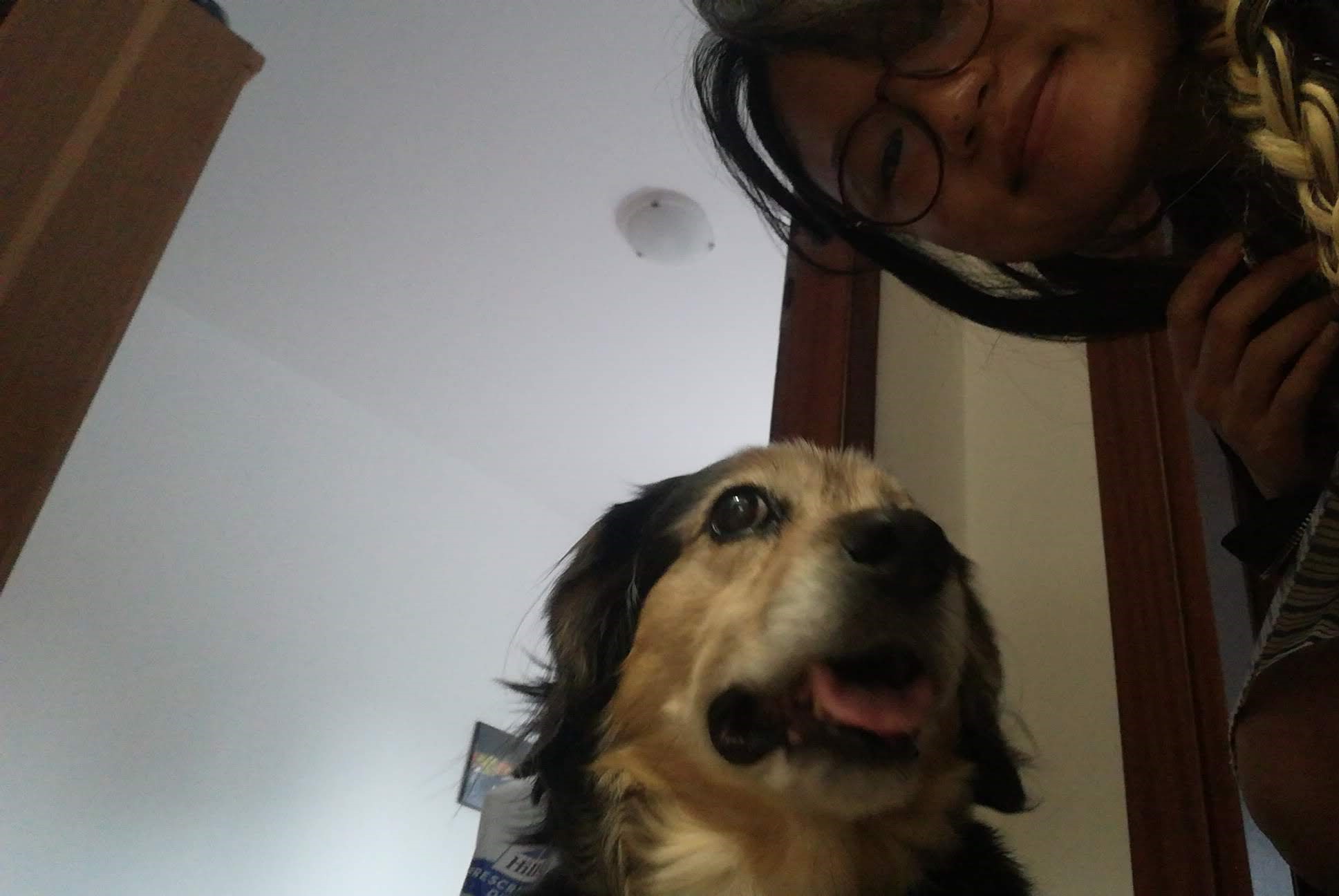 image-7