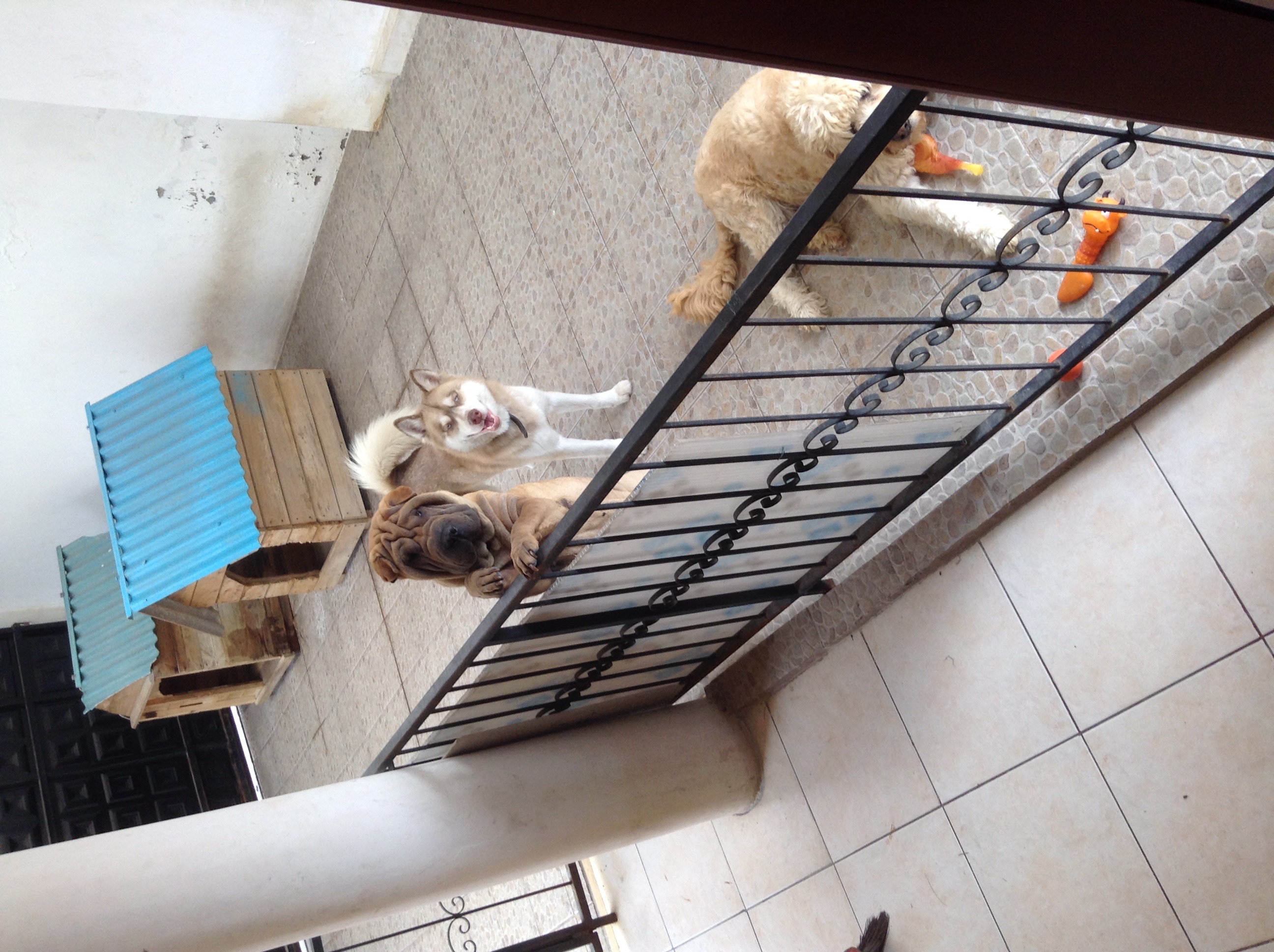 image-4