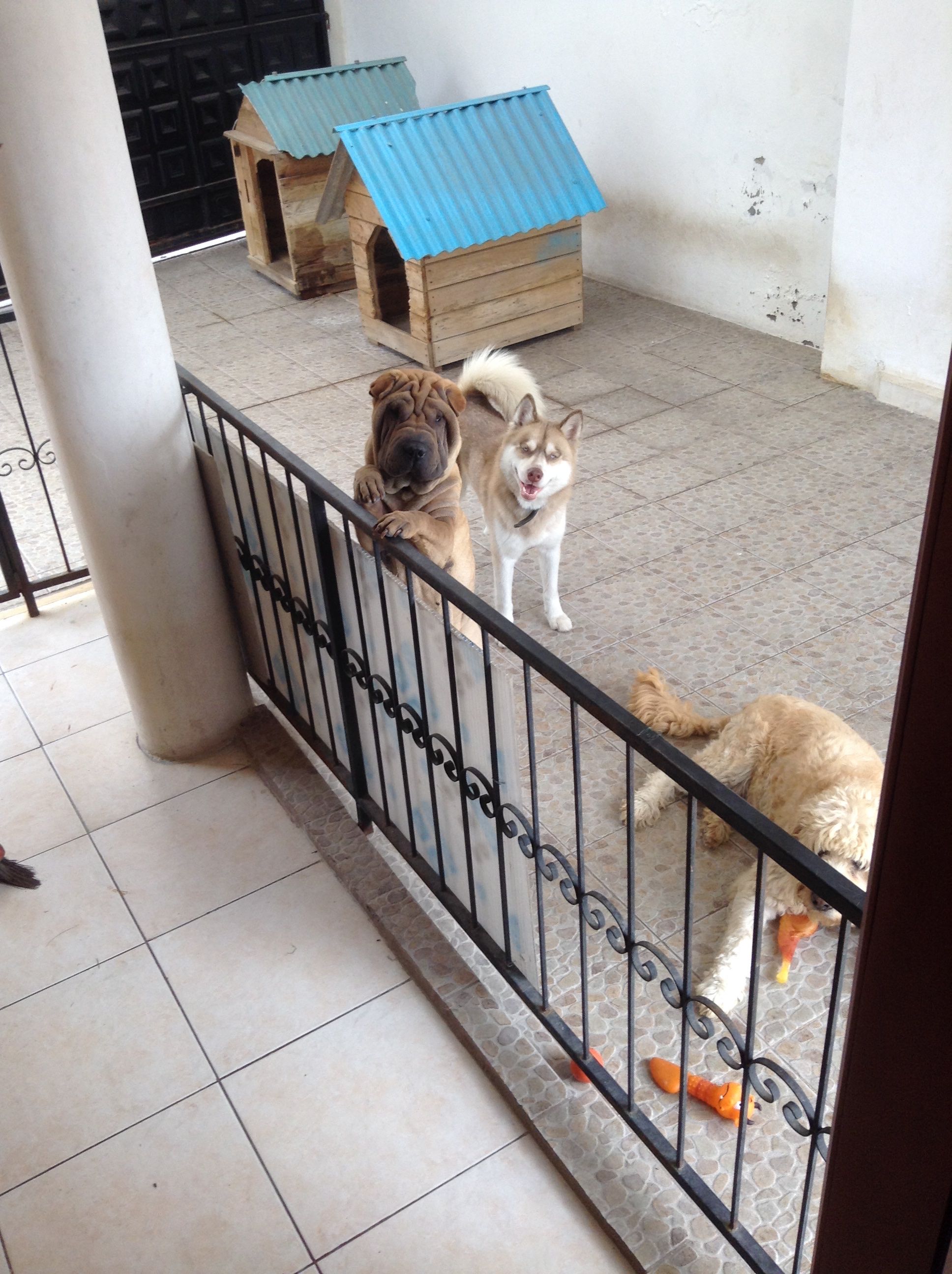 image-4