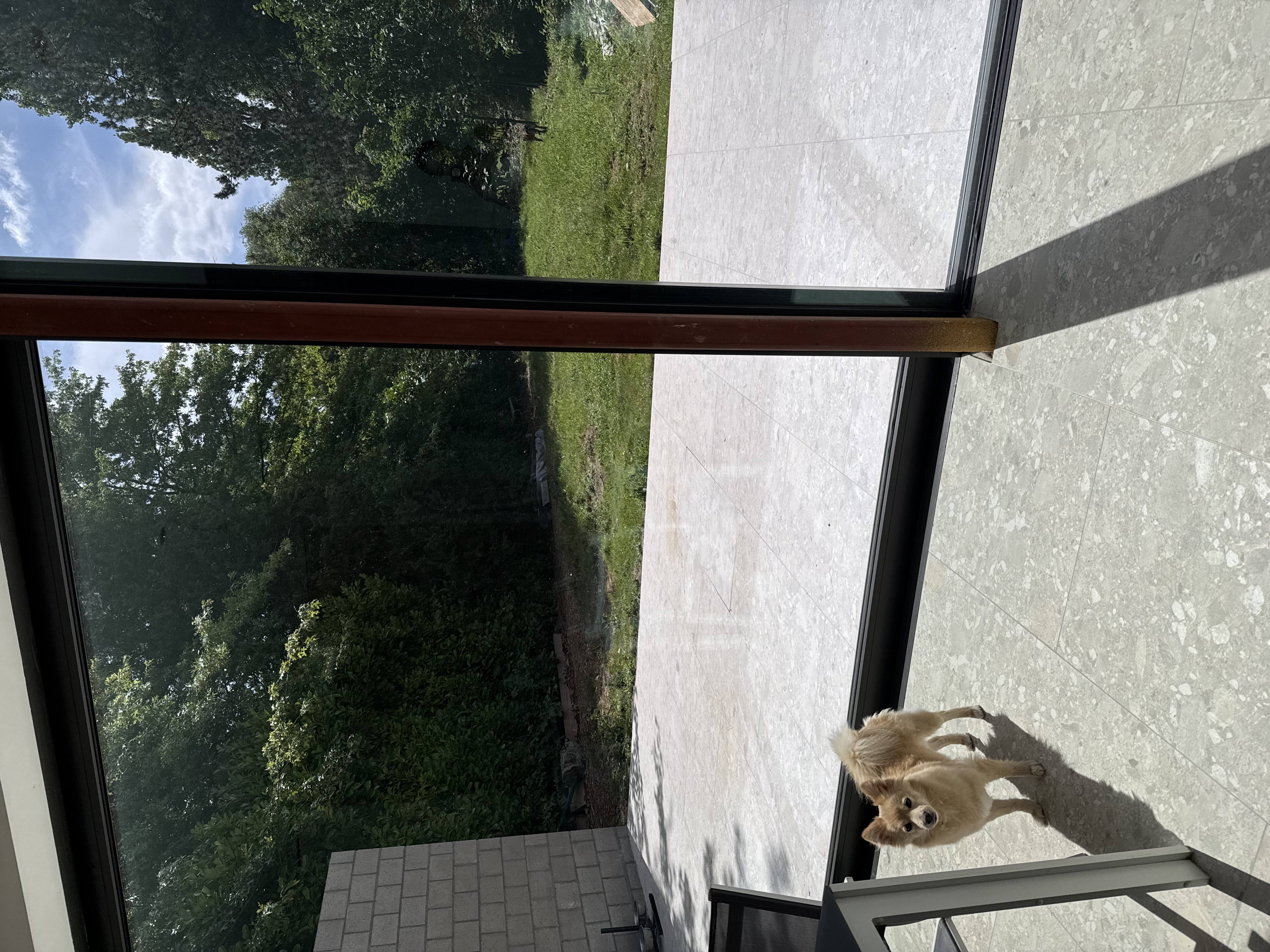 image-18